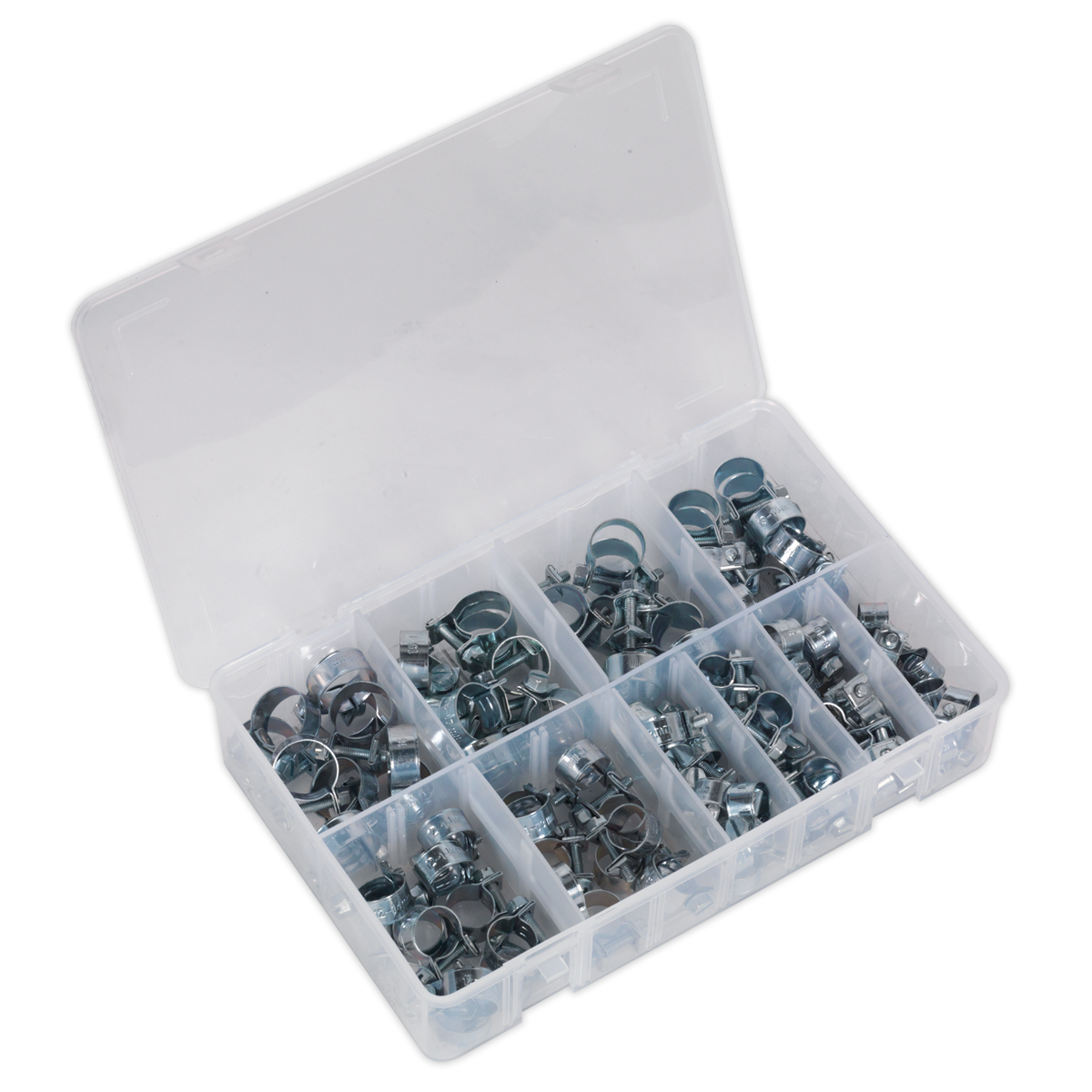Mini Hose Clip Assortment 100pc