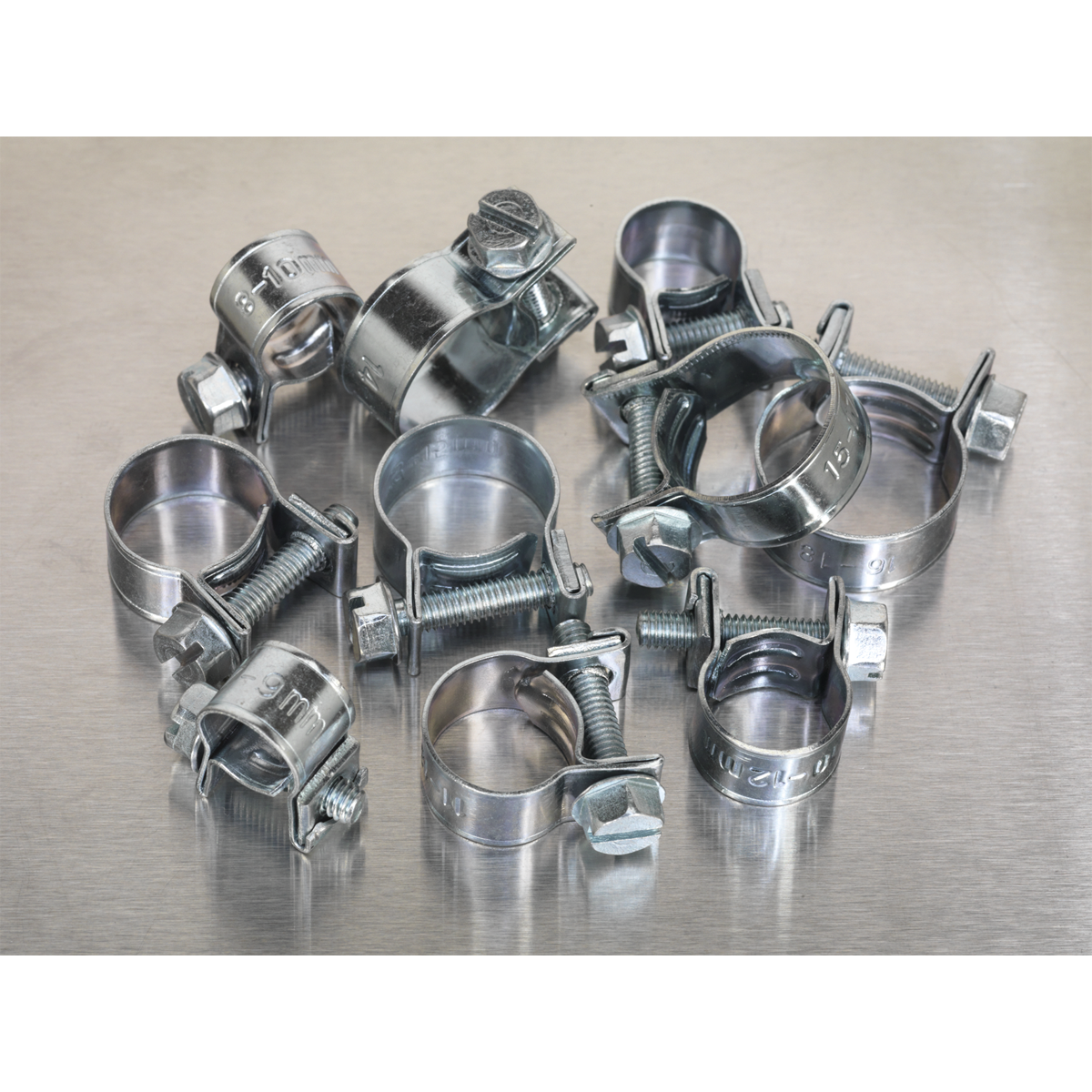 Mini Hose Clip Assortment 100pc