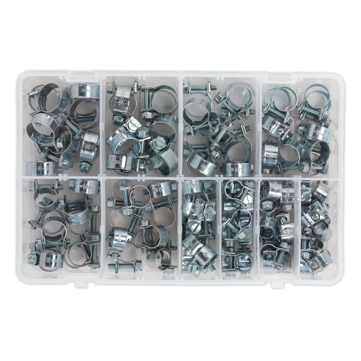 Mini Hose Clip Assortment 100pc