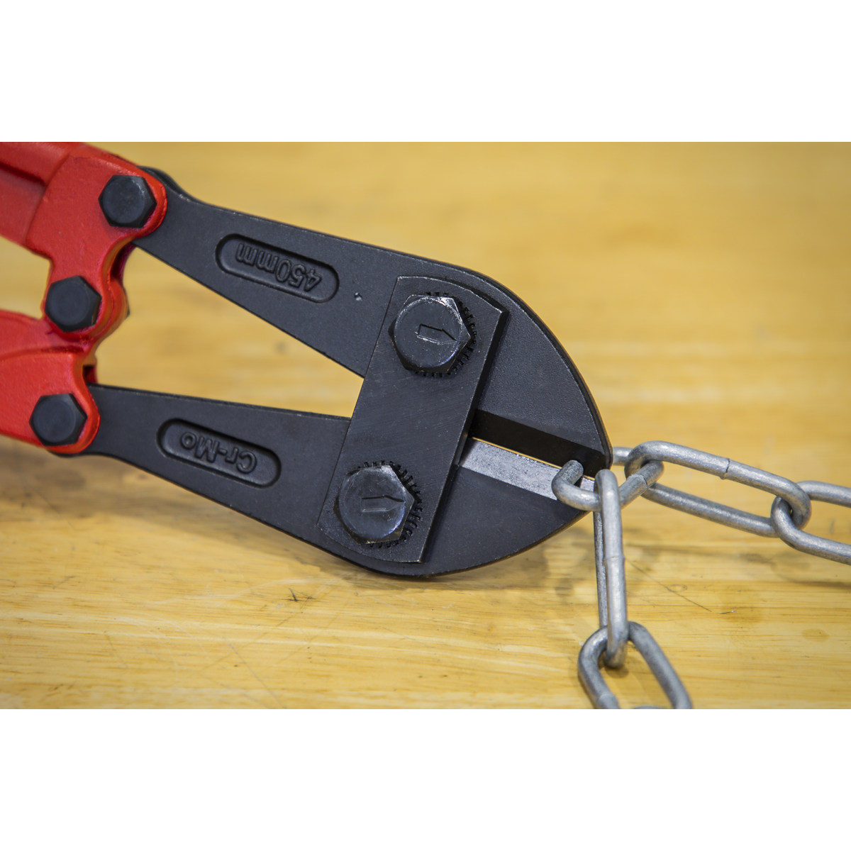 Premier Bolt Cutters 450mm 8mm Capacity