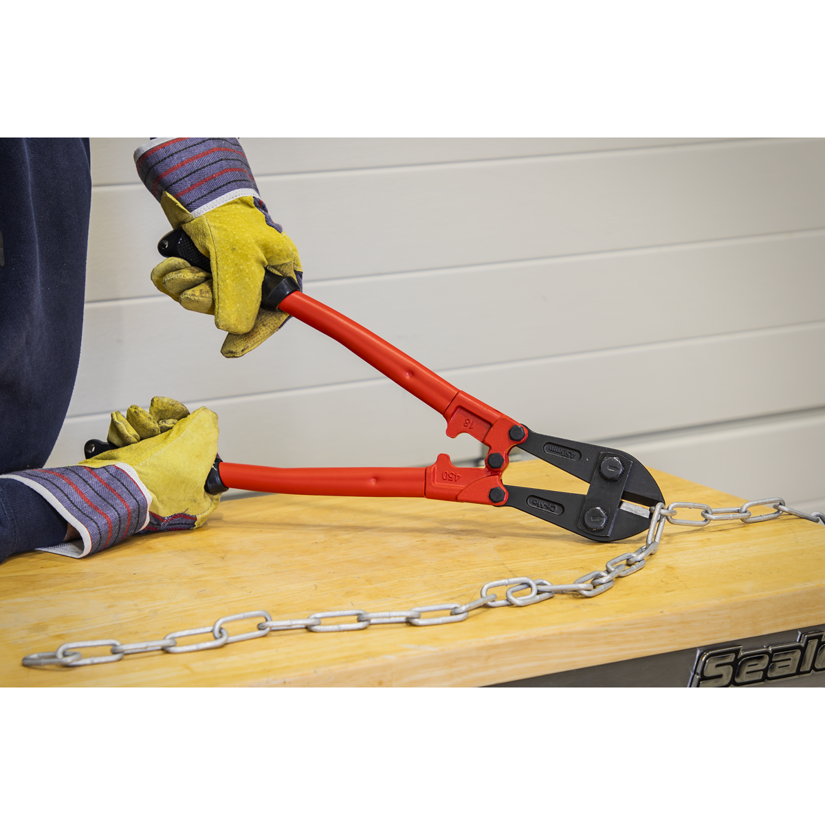 Premier Bolt Cutters 450mm 8mm Capacity