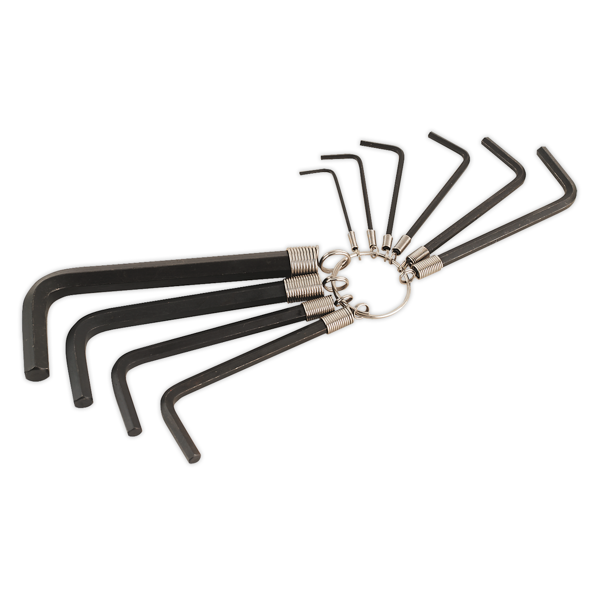 Premier Hex Key Set on Ring 10pc