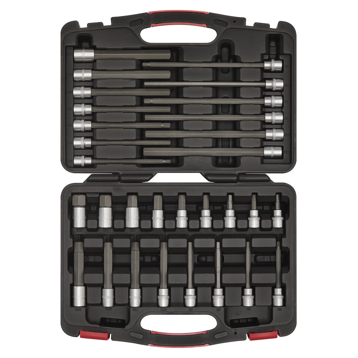 Premier Platinum Hex Socket Bit Set 3/8"Sq Drive 30pc