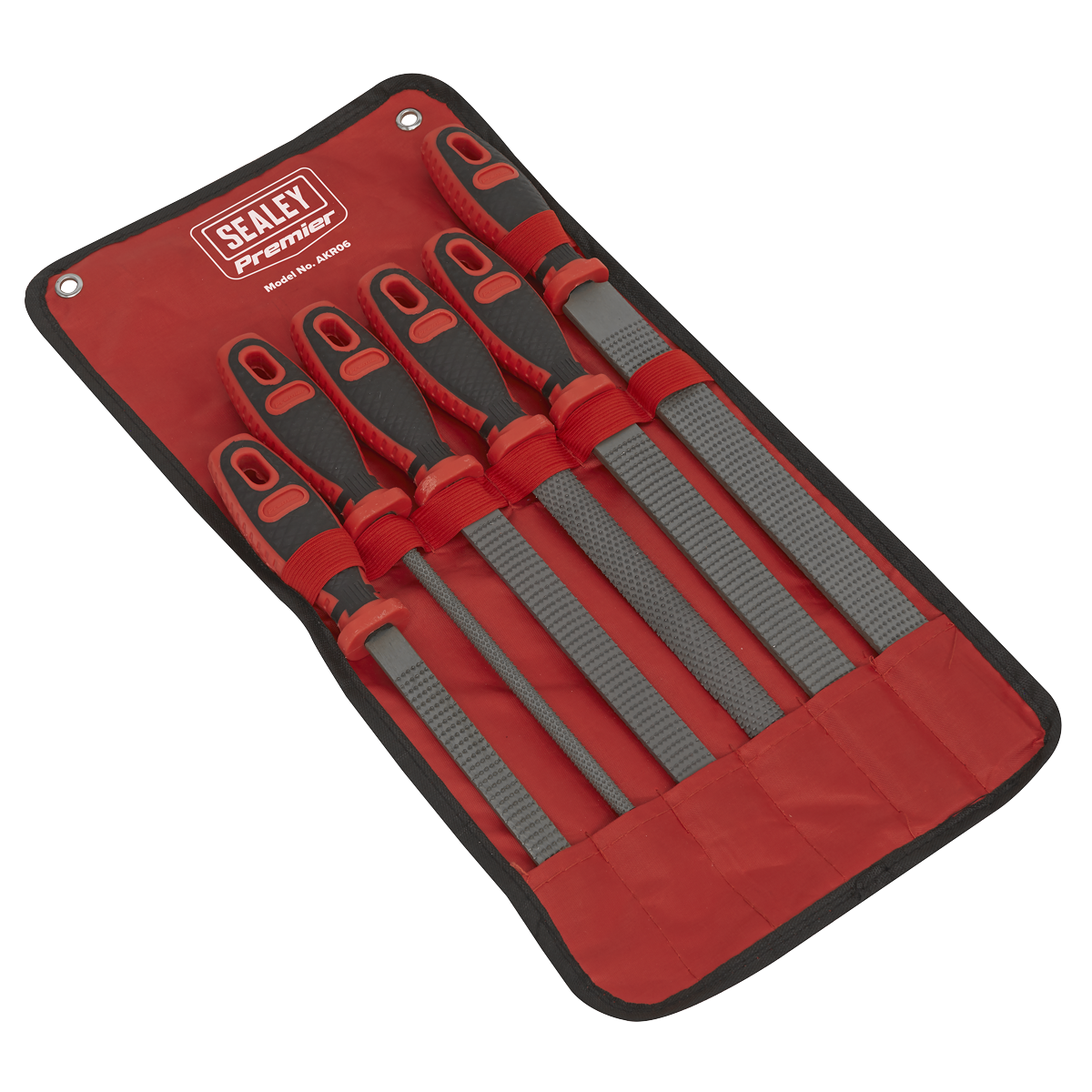 Premier Rasp File Set 6pc