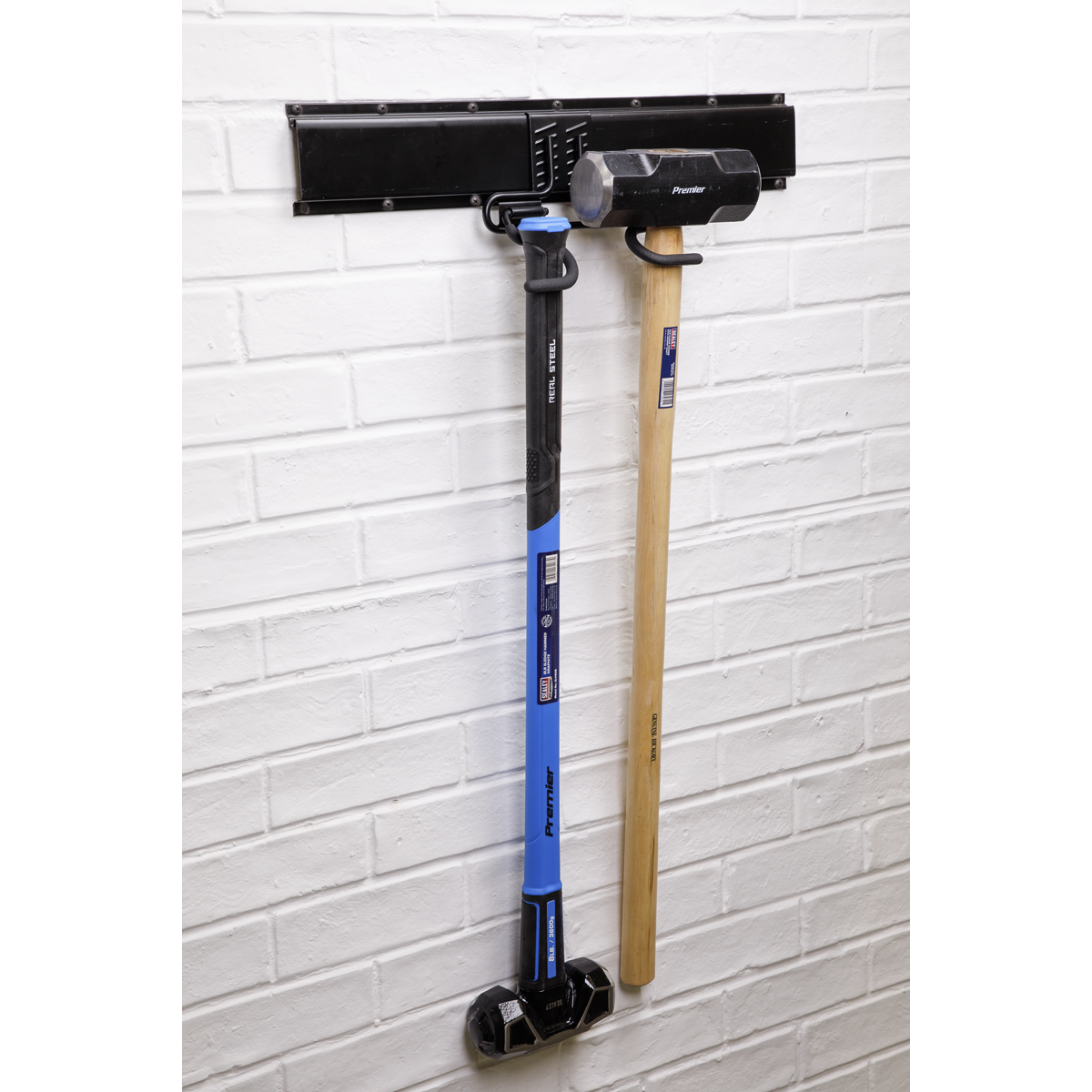Double S Storage Hook