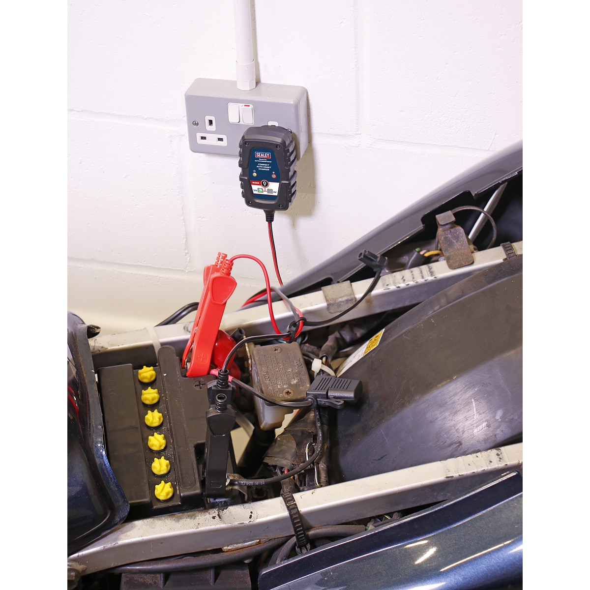 6/12V Compact Smart Trickle Charger & Maintainer 1A