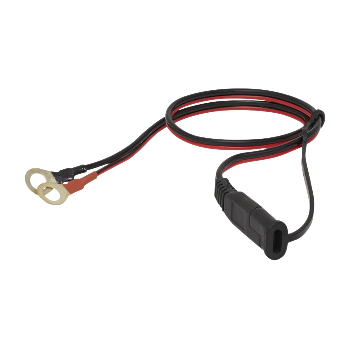 6/12V Compact Smart Trickle Charger & Maintainer 1A