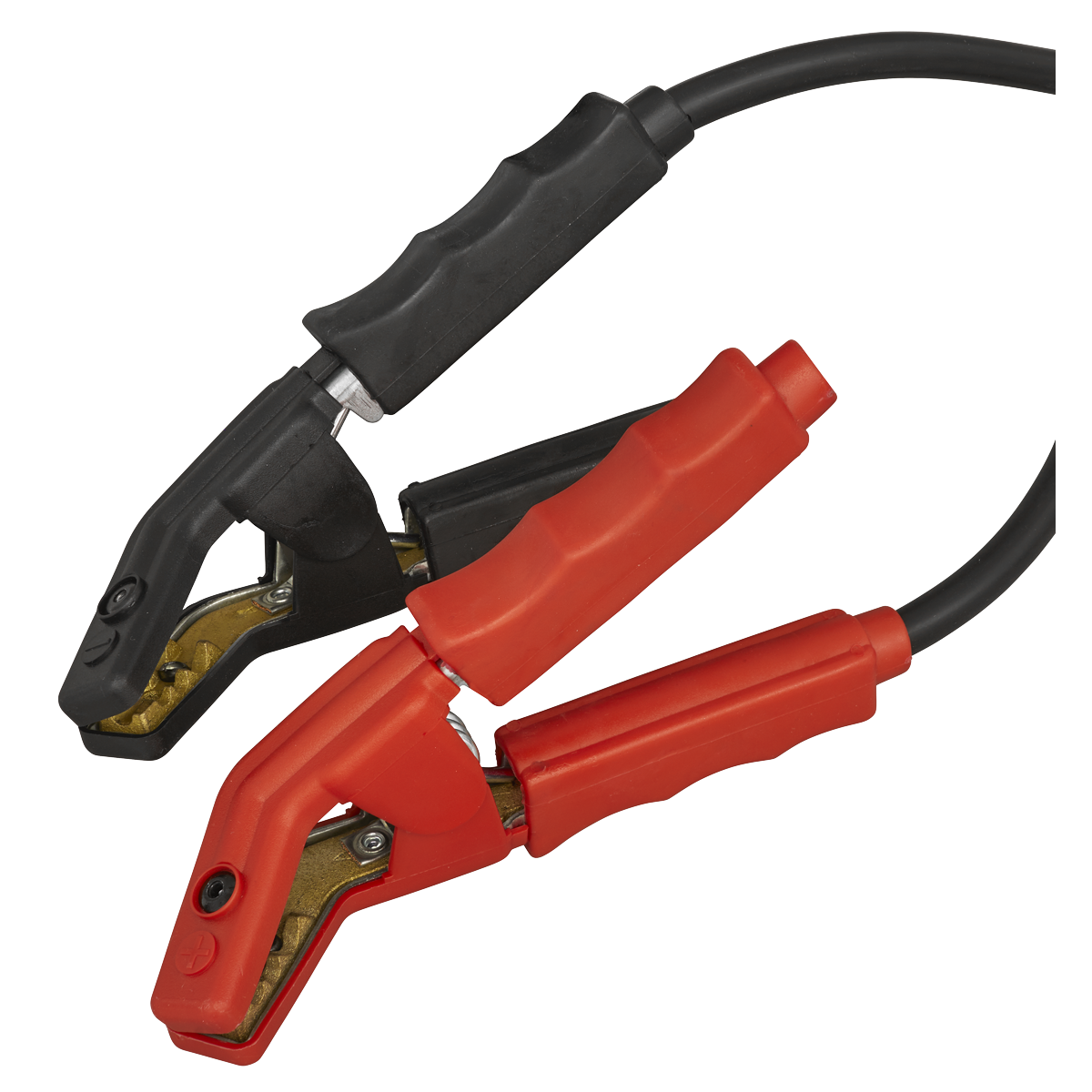 12V Battery Support Unit & Charger 100A