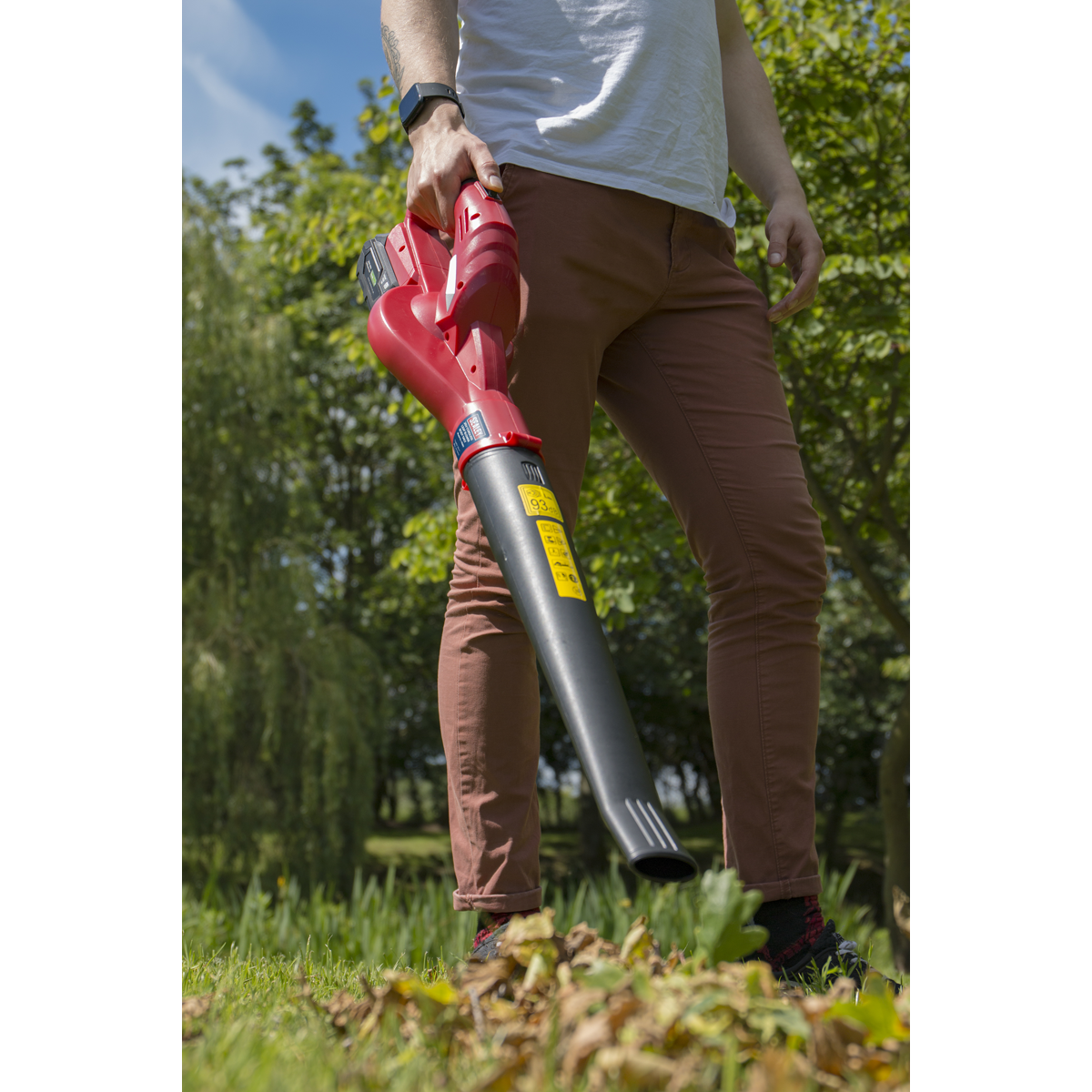 SV20 Series Cordless Leaf Blower with 20V 4Ah Battery & Charger