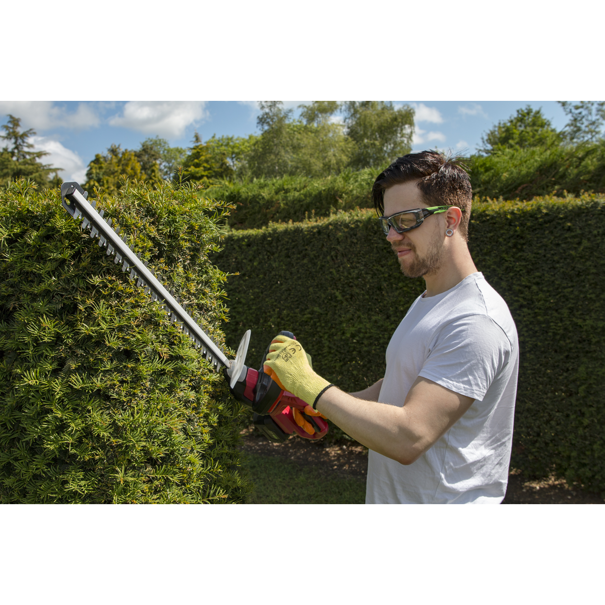 SV20 Series 52cm Cordless Hedge Trimmer 20V 2Ah with Battery & Charger