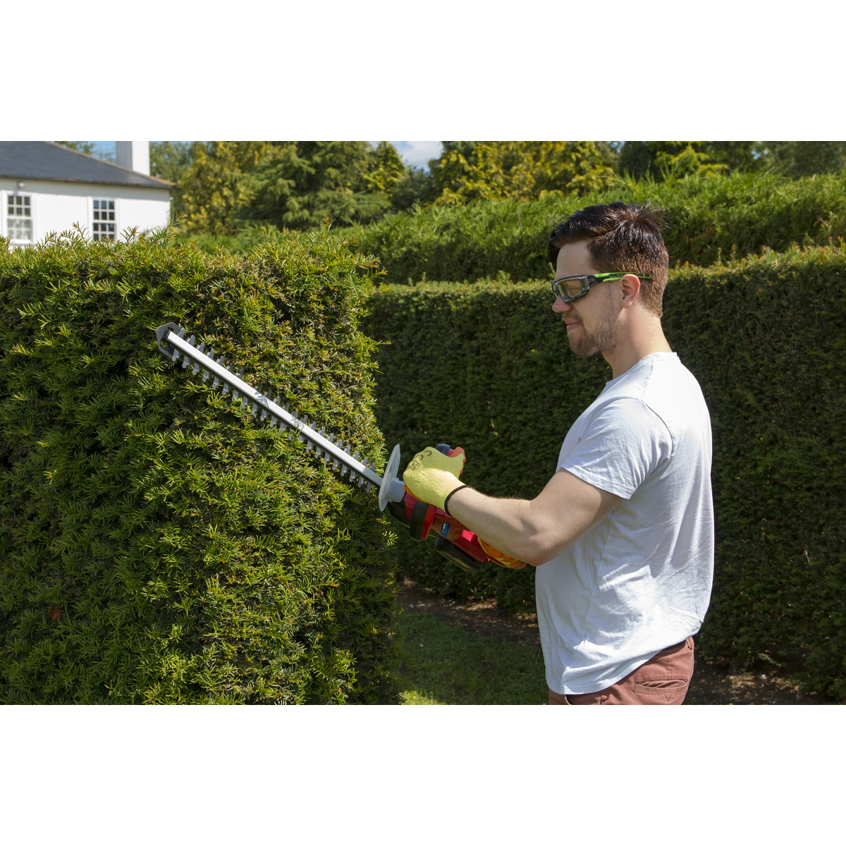 SV20 Series Cordless Hedge Trimmer 20V 4Ah with Battery & Charger