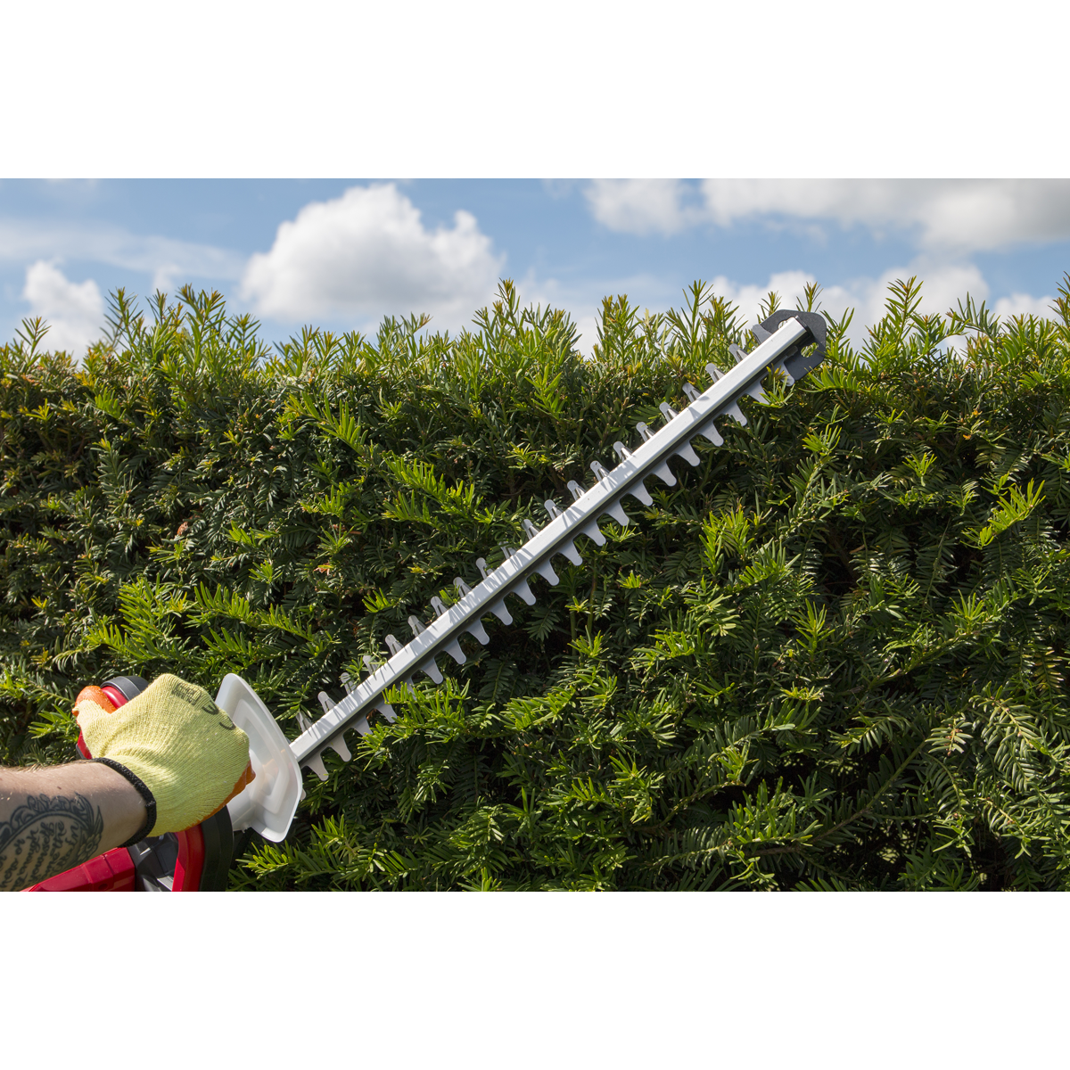 SV20 Series 52cm Cordless Hedge Trimmer 20V 2Ah with Battery & Charger