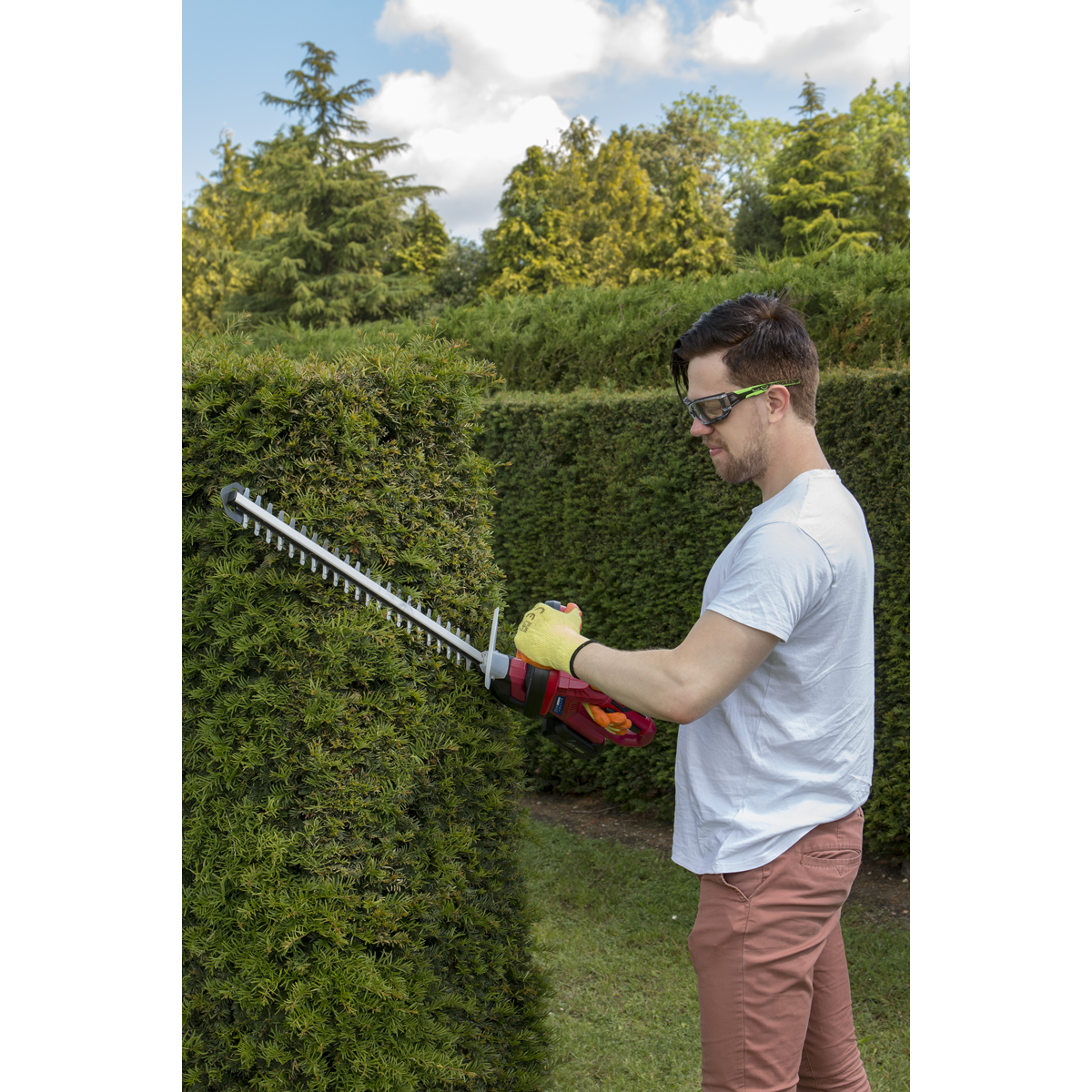 SV20 Series Cordless Hedge Trimmer 20V 4Ah with Battery & Charger