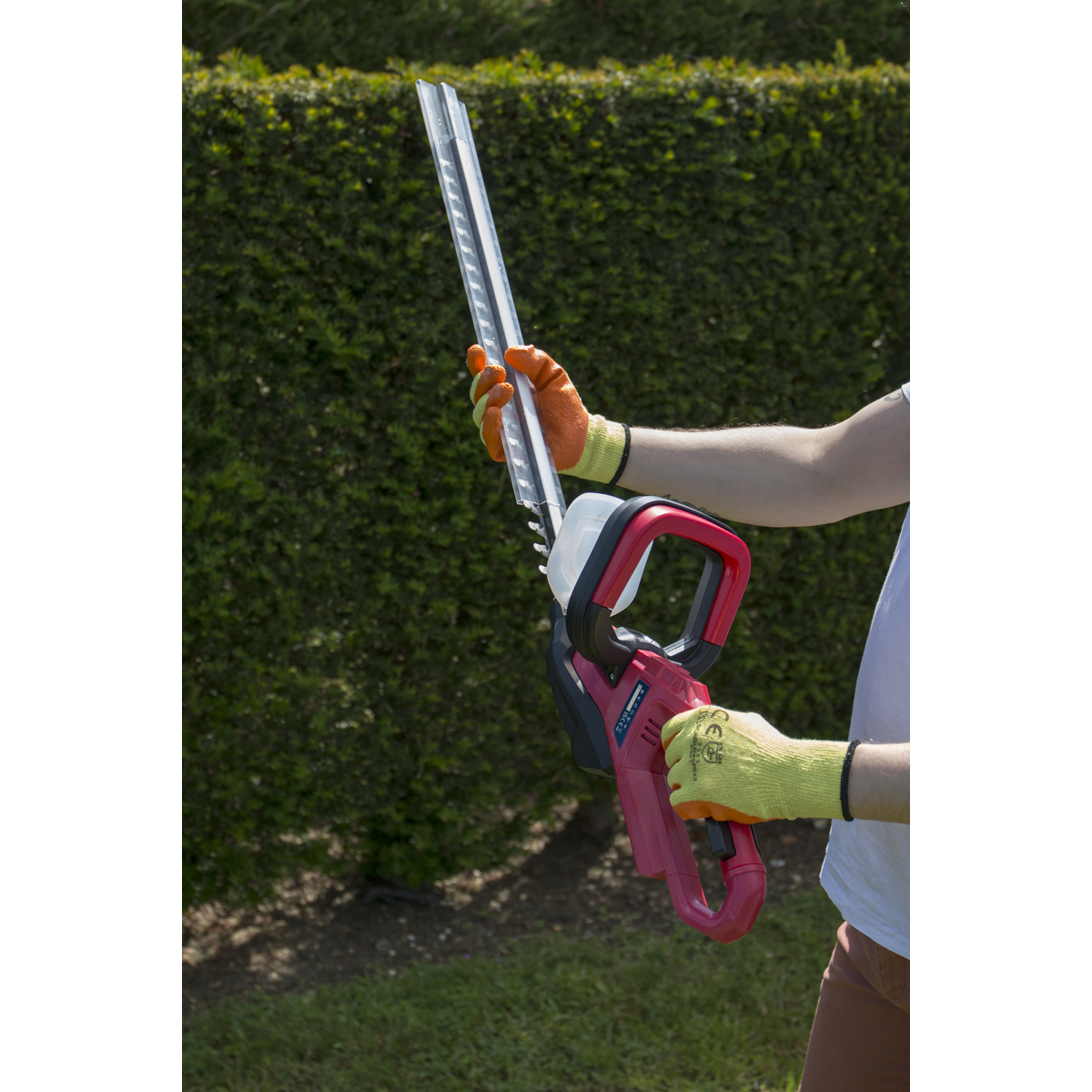 SV20 Series Cordless Hedge Trimmer 20V 4Ah with Battery & Charger