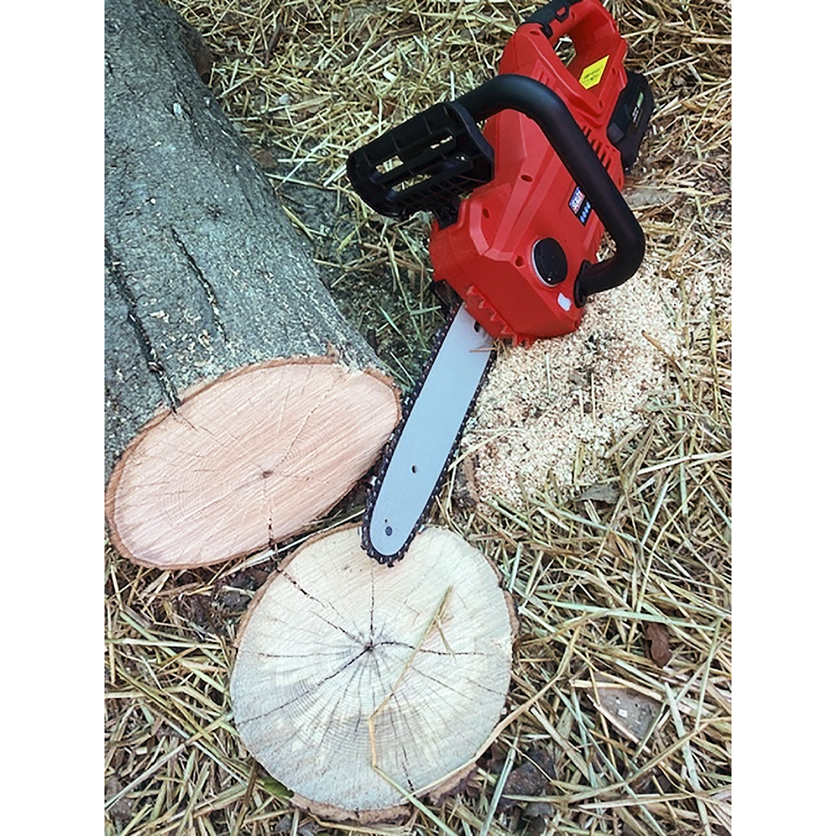 SV20 Series 25cm Cordless Chainsaw 20V - Body Only