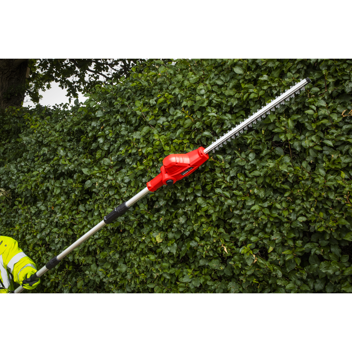 SV20 Series 45cm Cordless Pole Hedge Trimmer 20V