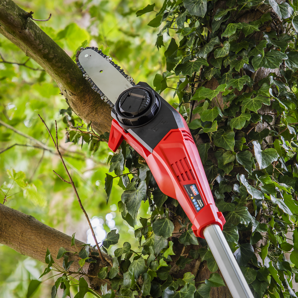 SV20 Series 20cm Cordless Telescopic Chainsaw Kit 20V 4Ah