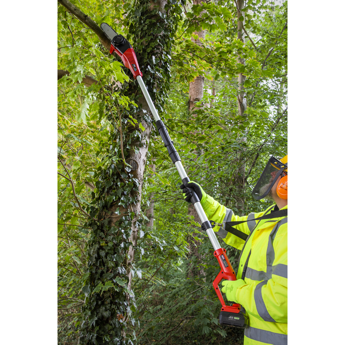 SV20 Series 20cm Cordless Telescopic Chainsaw Kit 20V 4Ah