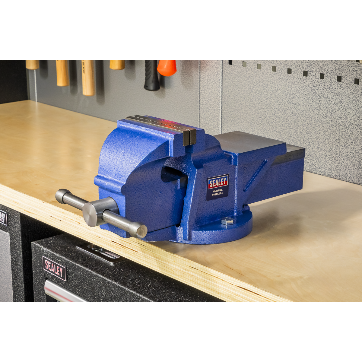 Professional Heavy-Duty Fixed Base Vice 125mm