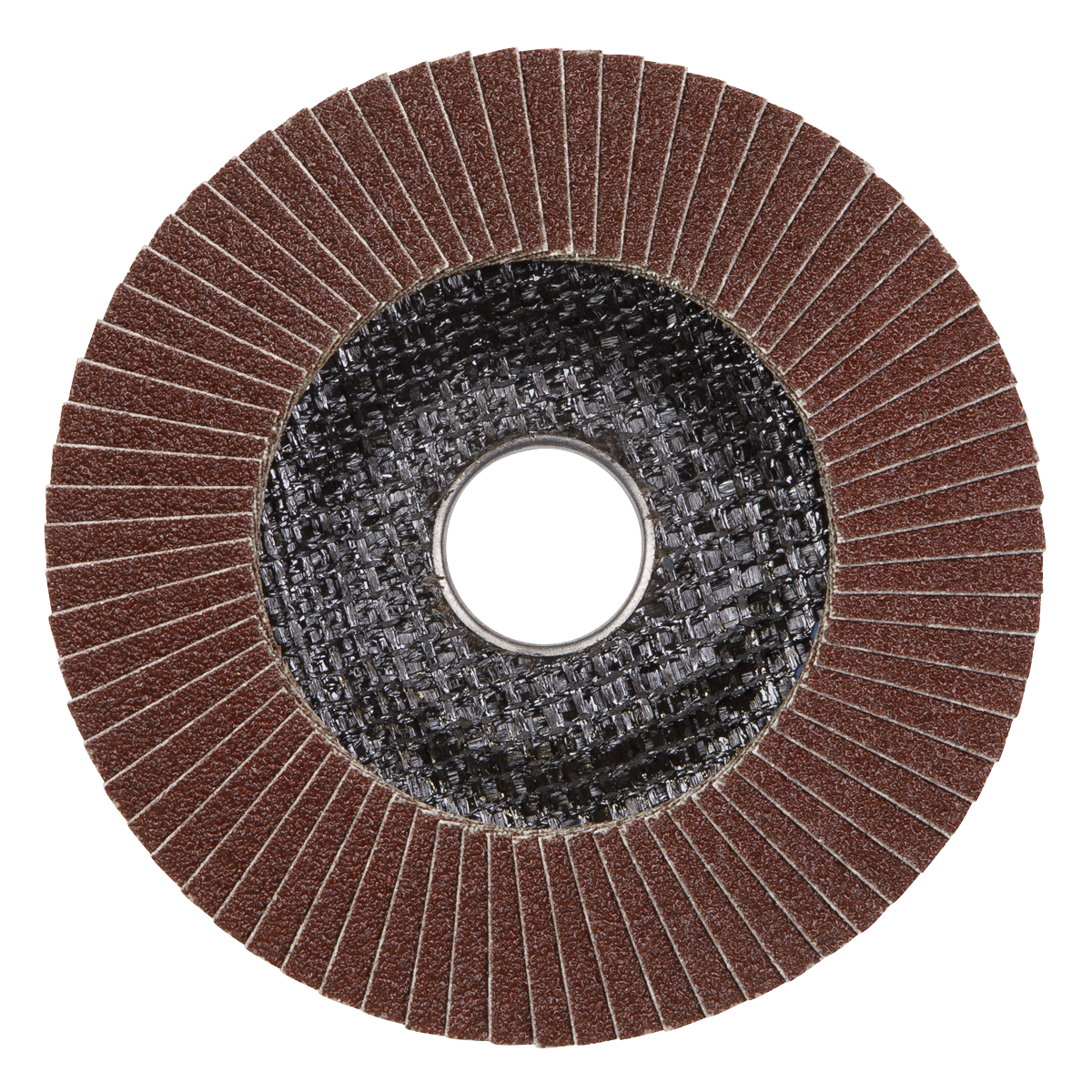 100mm Aluminium Oxide Flap Disc 40Grit 16mm Bore