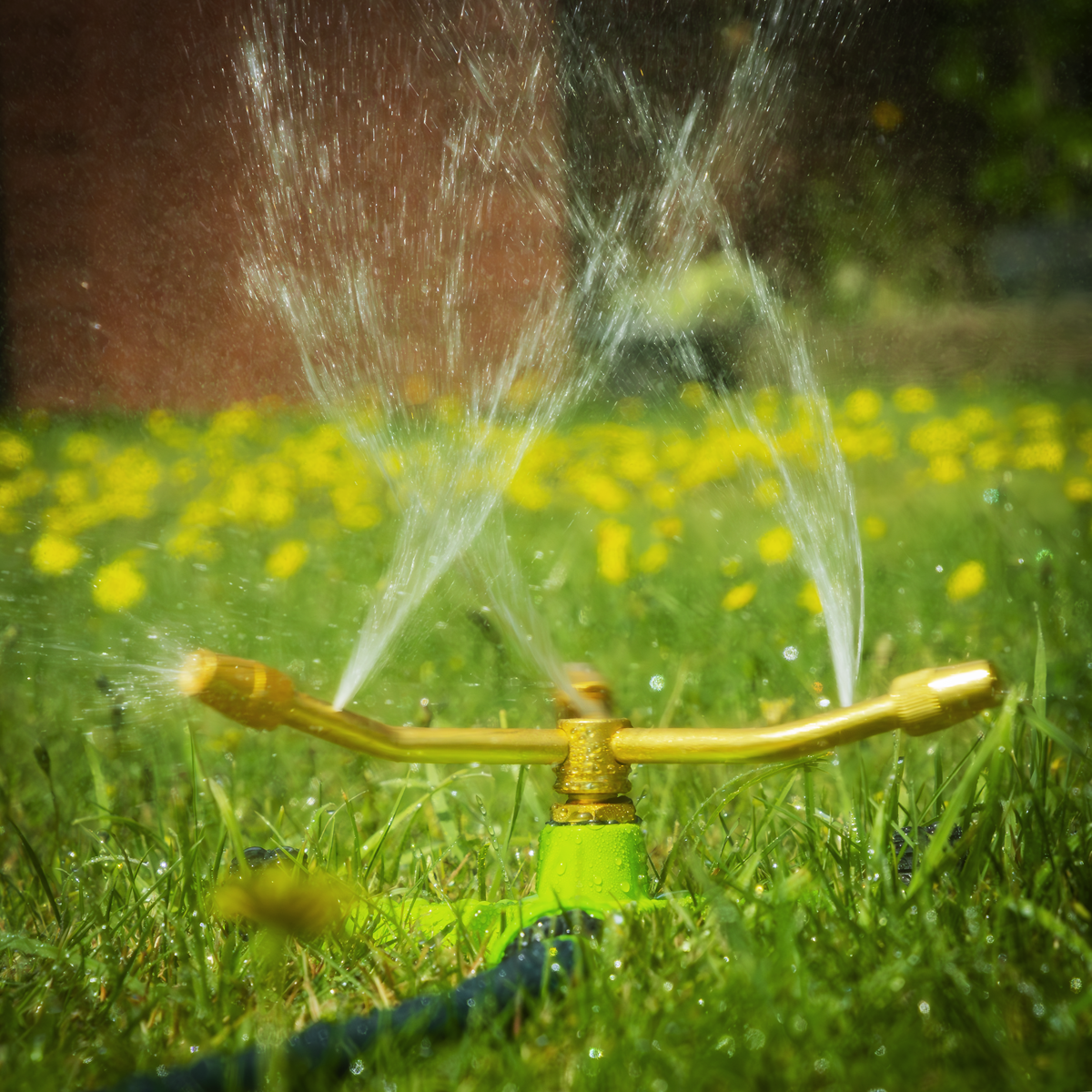 3-Arm Brass Sprinkler with Metal Wheeled Base