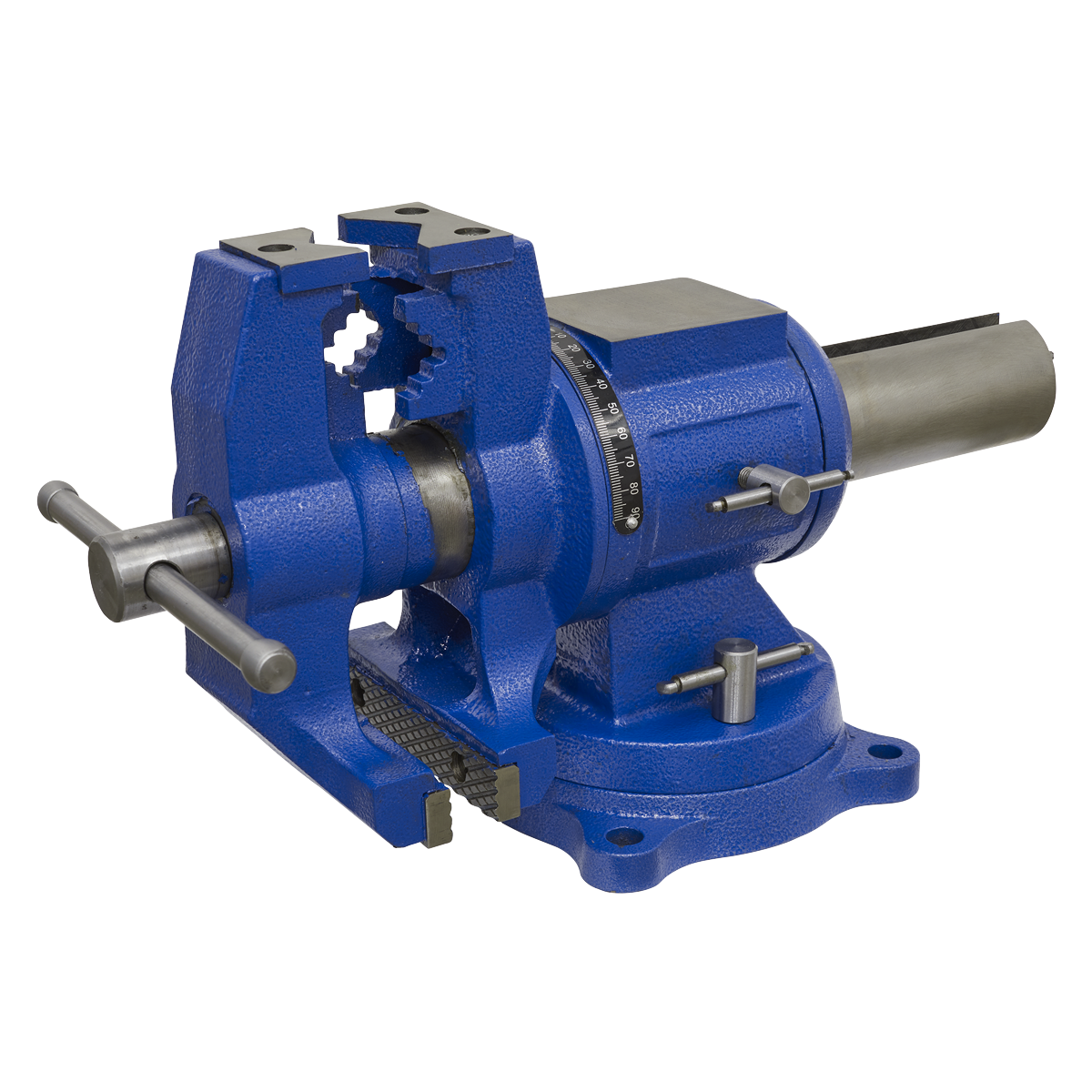 Multifunction Cast Iron Vice with Swivel Base 150mm