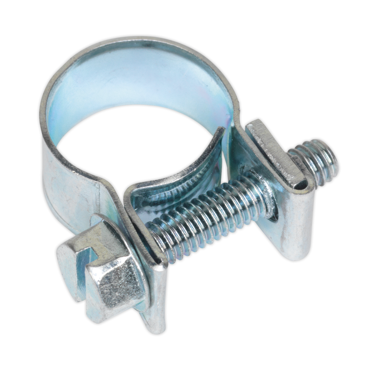 Mini Hose Clip