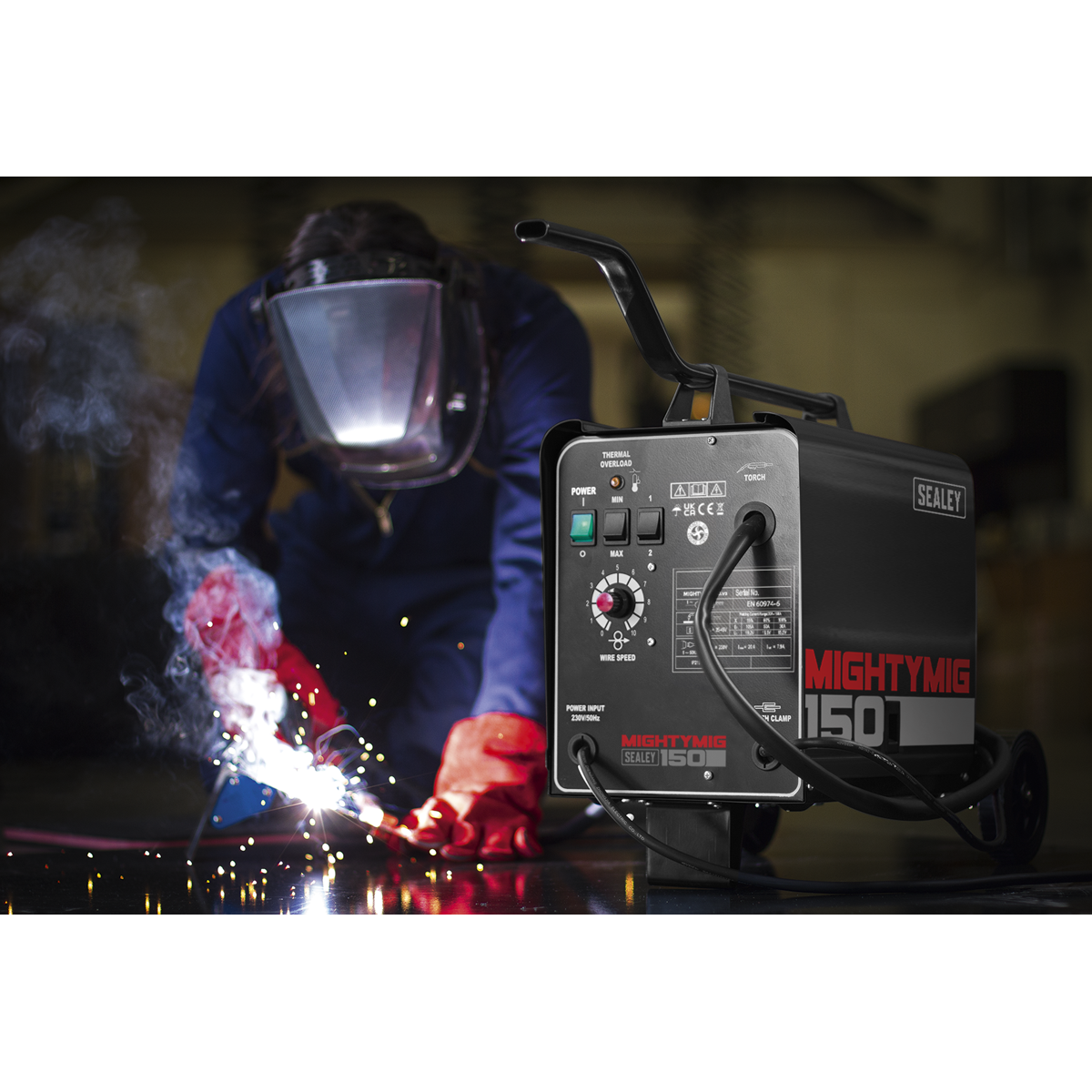 Professional Gas/Gasless MIG Welder
