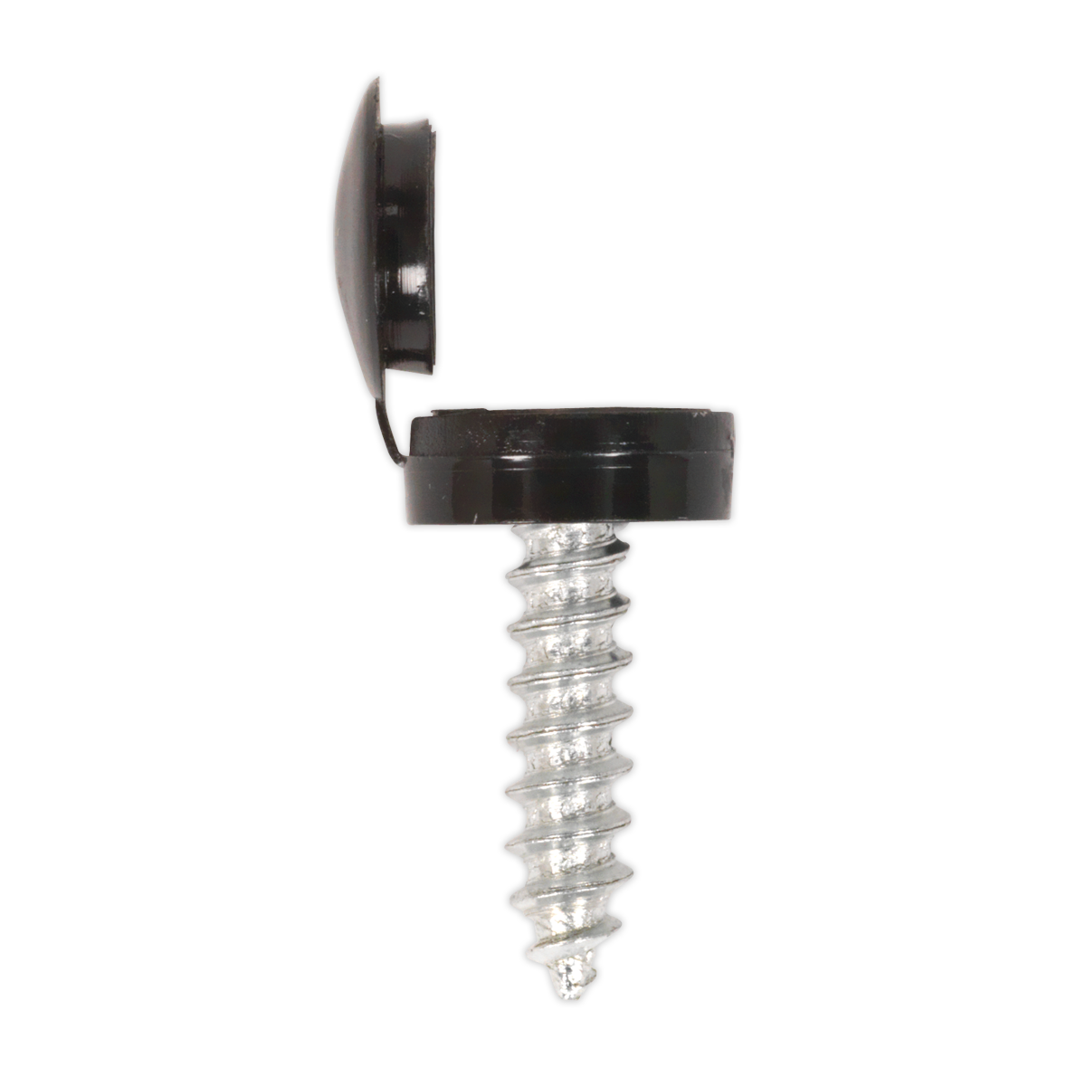 Clip Strip Deal - Mixed Numberplate Screws