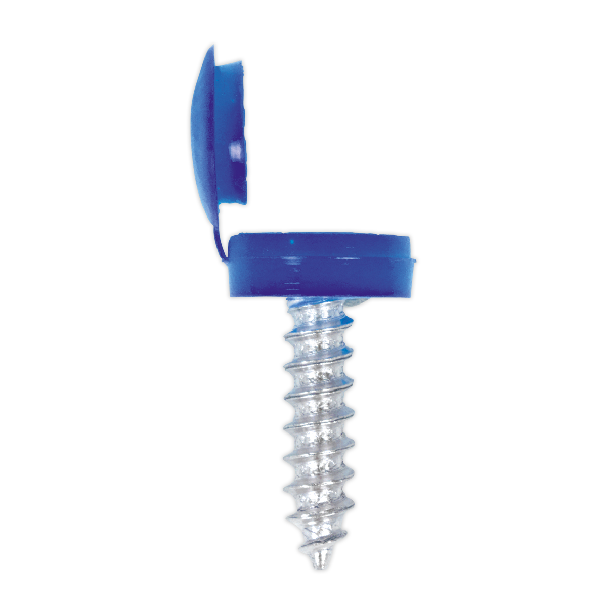 Clip Strip Deal - Mixed Numberplate Screws