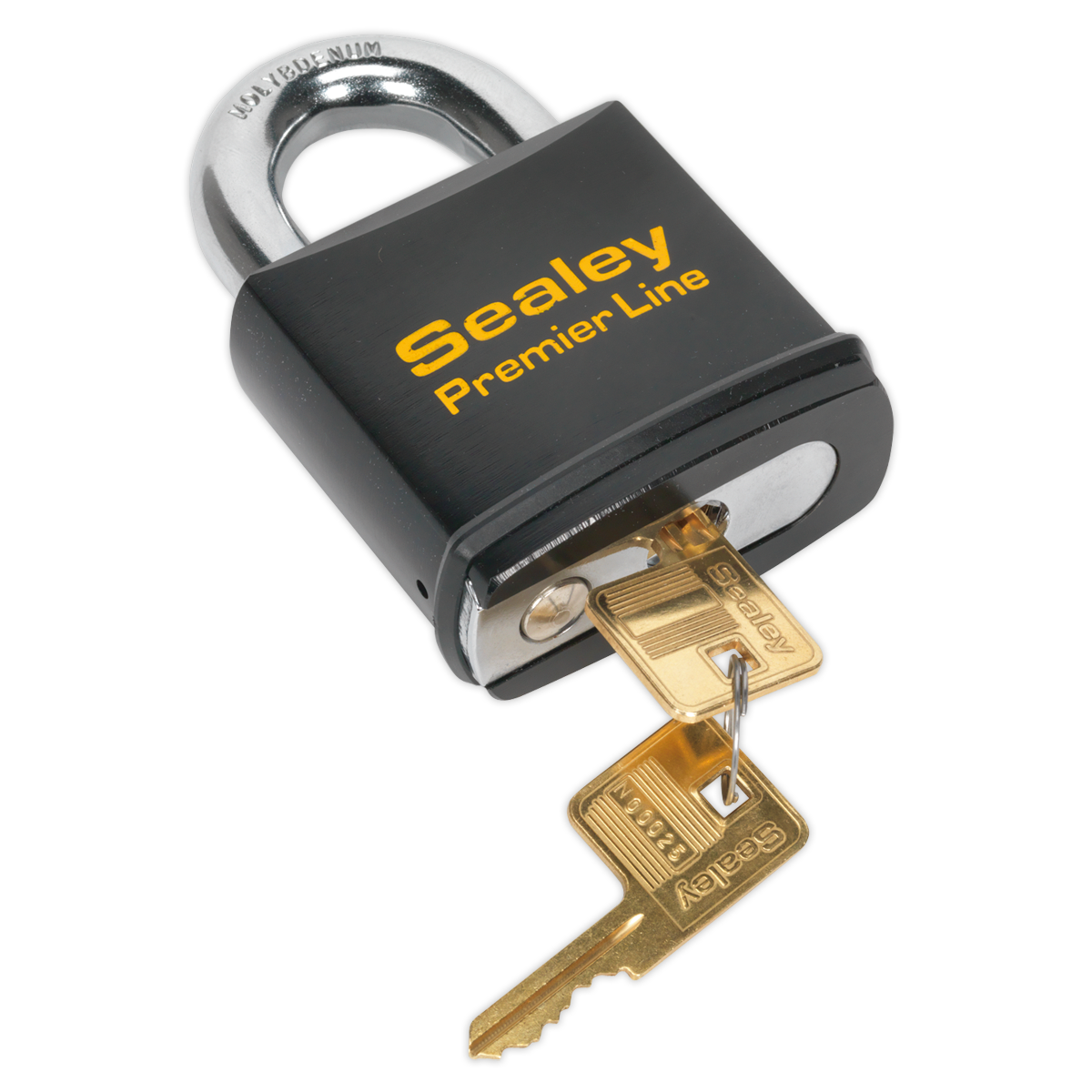 Premier™ Steel Body Padlock 70mm