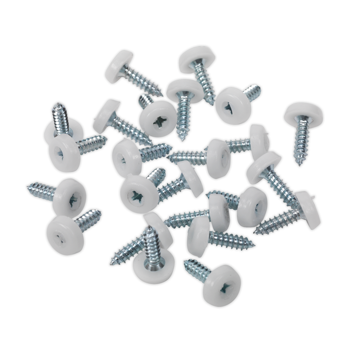 Numberplate Screw with Plastic Enclosed Head