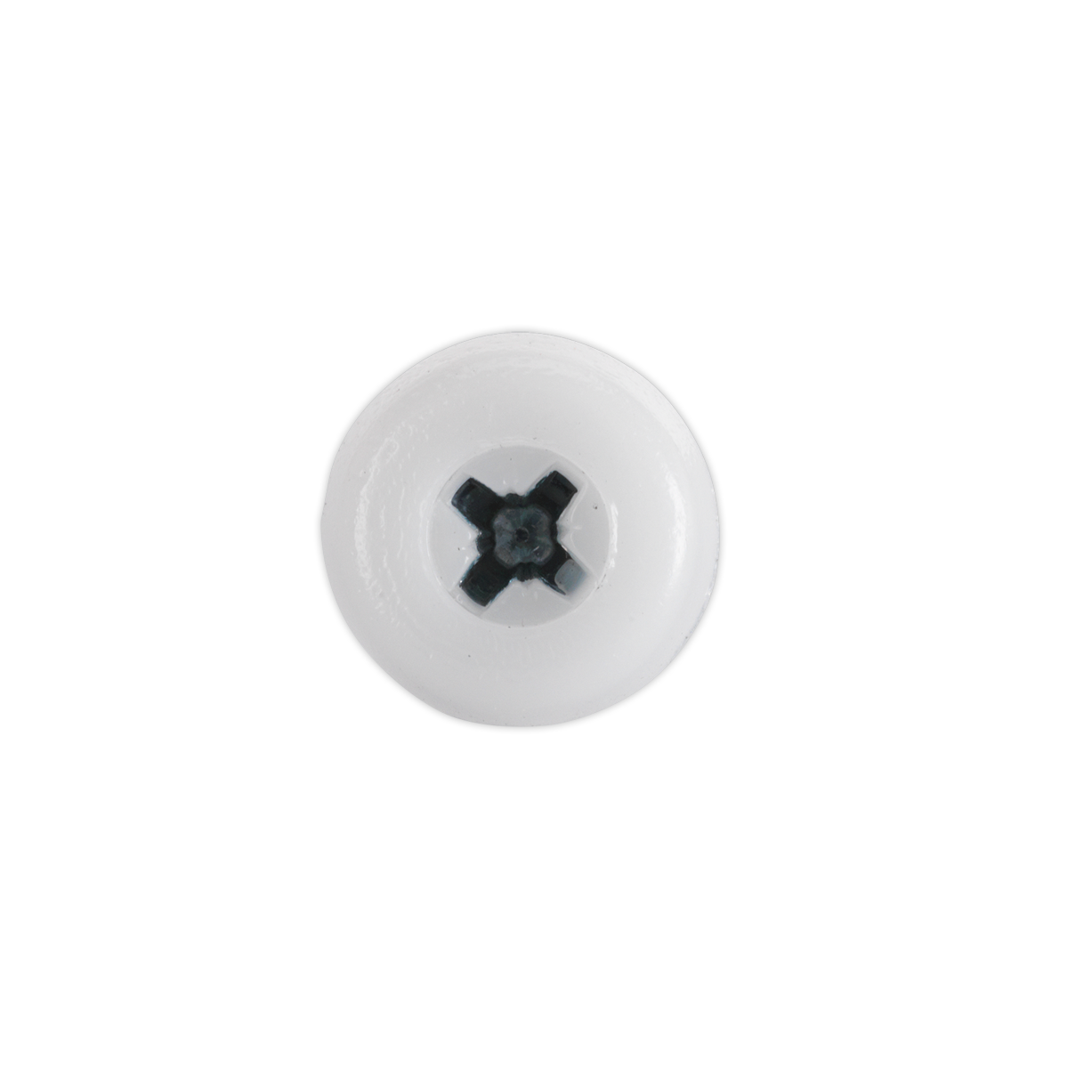 Numberplate Screw with Plastic Enclosed Head