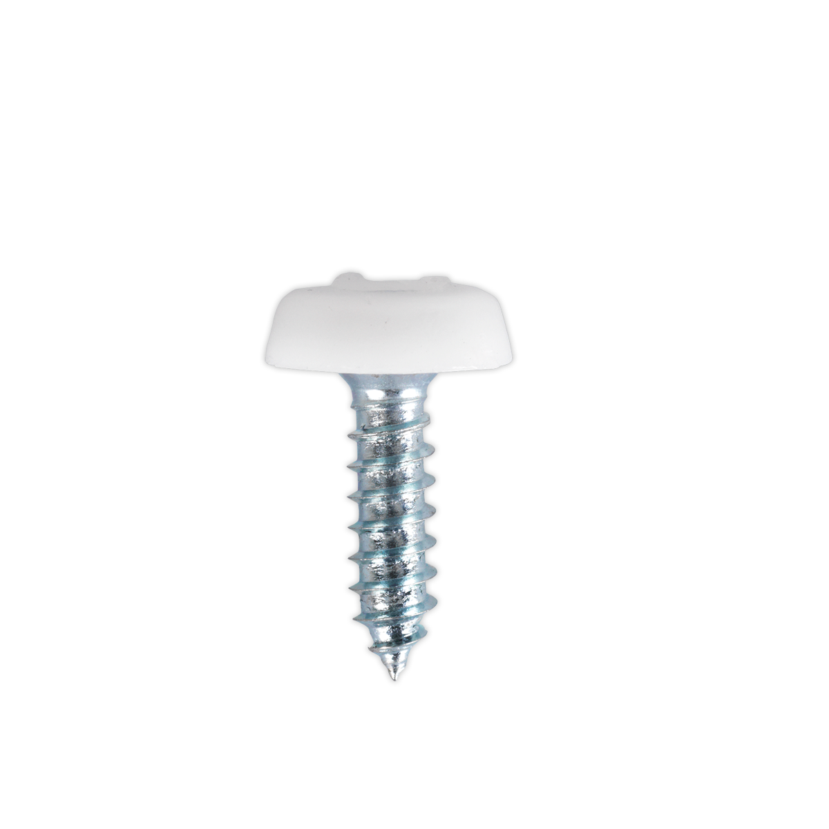 Numberplate Screw with Plastic Enclosed Head