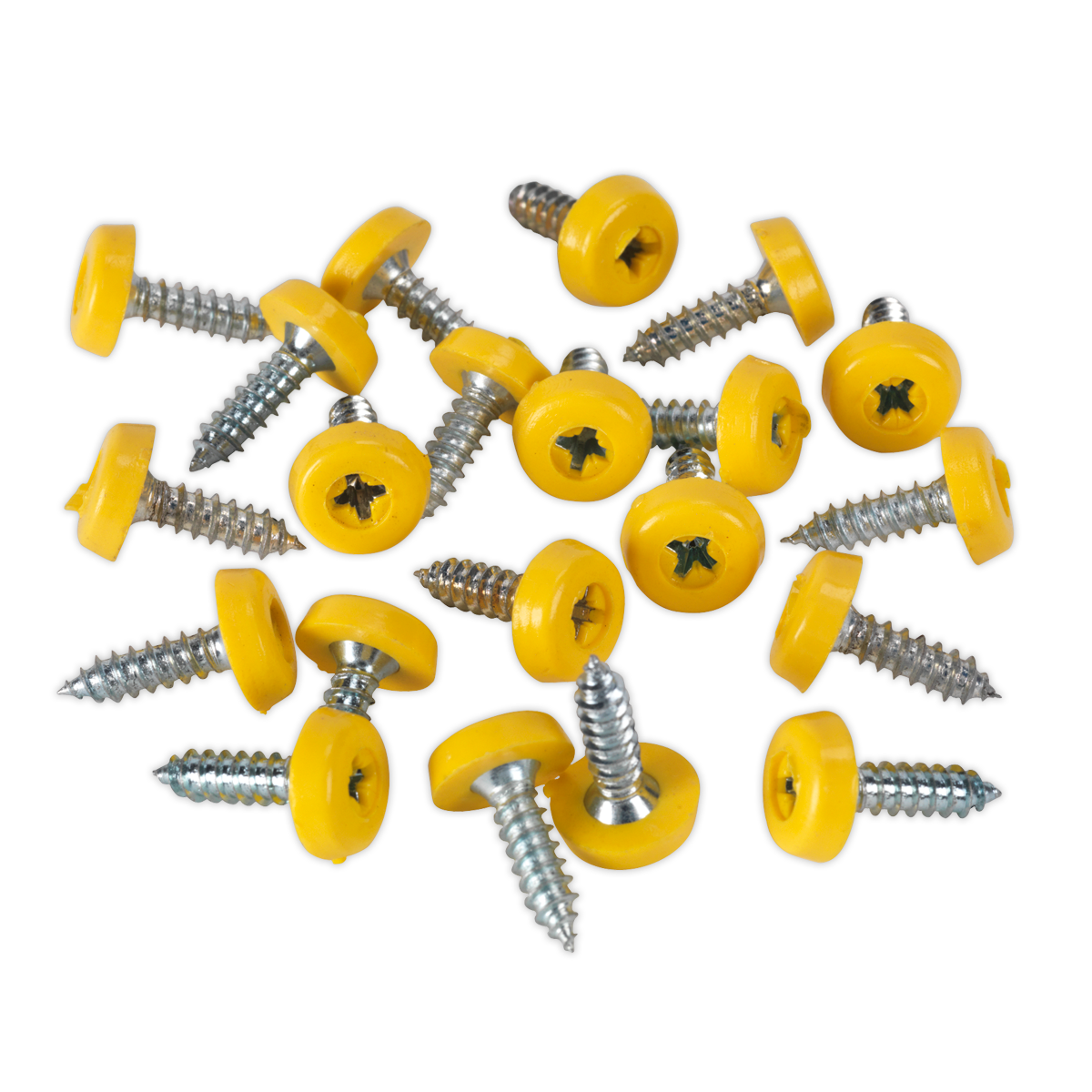 Numberplate Screw with Plastic Enclosed Head
