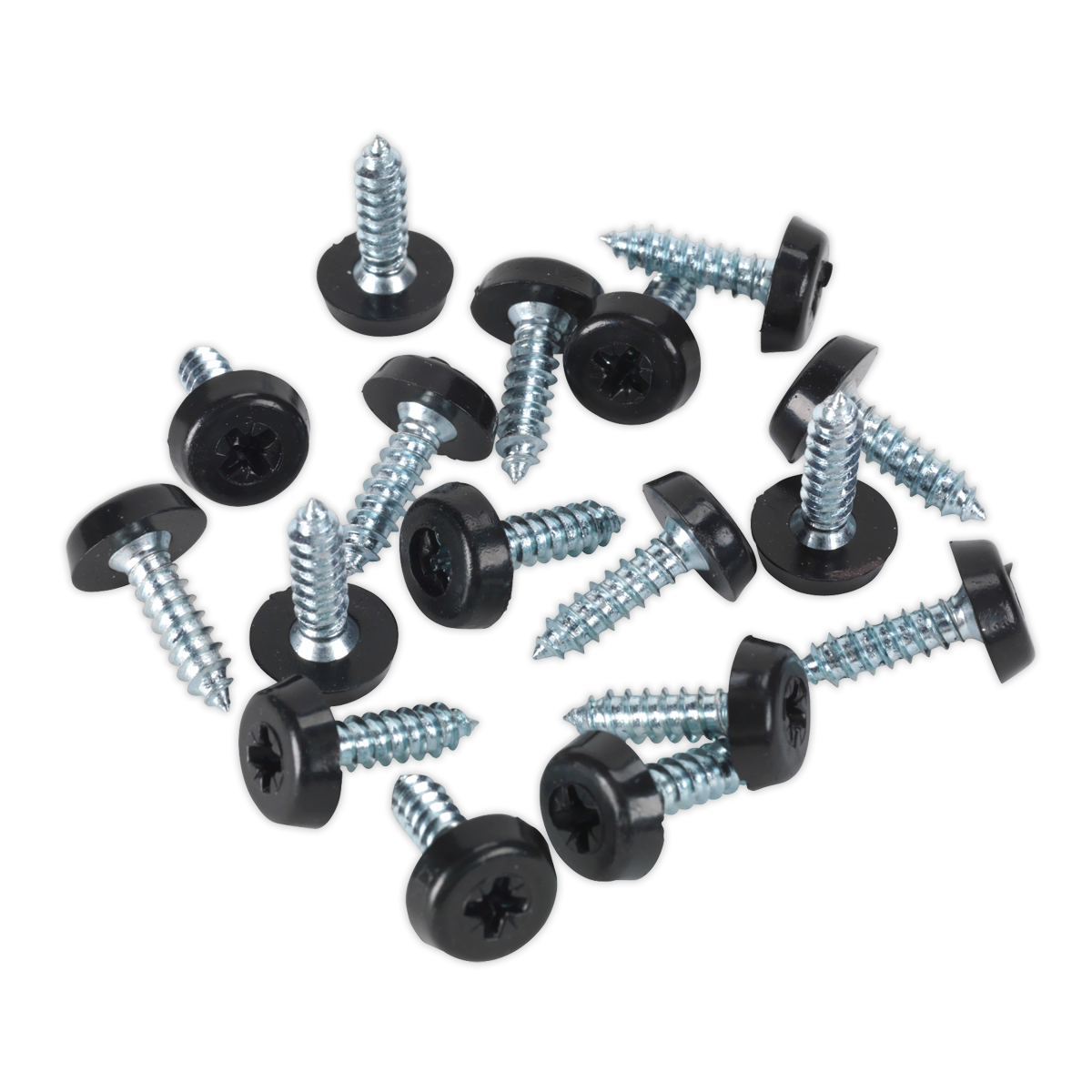 Numberplate Screw with Plastic Enclosed Head