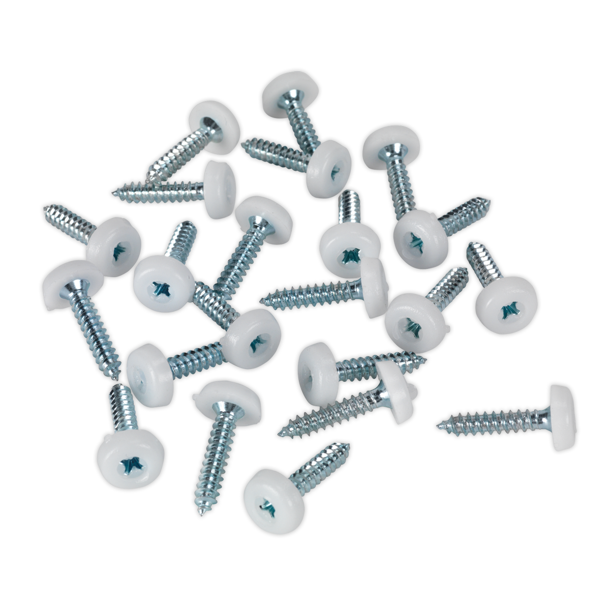 Numberplate Screw with Plastic Enclosed Head