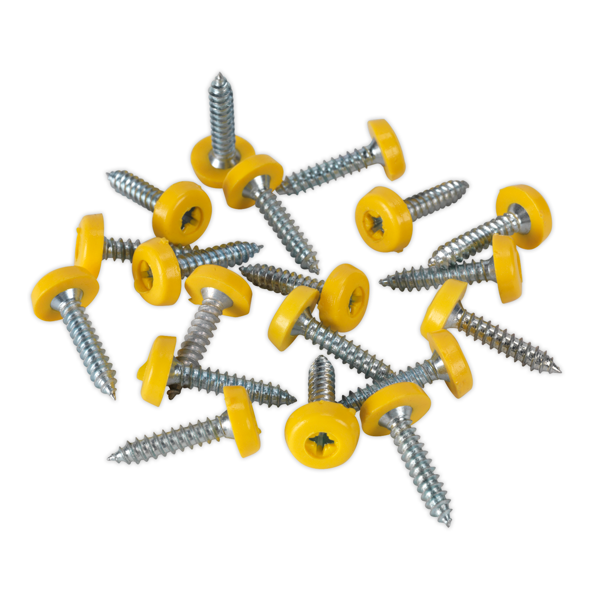 Numberplate Screw with Plastic Enclosed Head