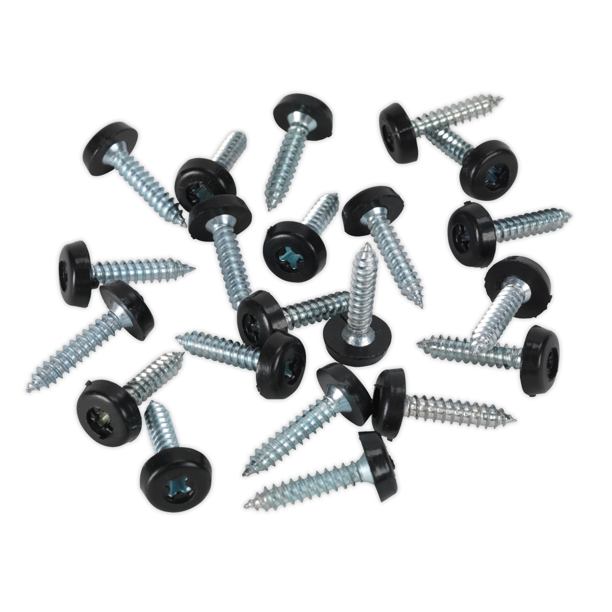 Numberplate Screw with Plastic Enclosed Head