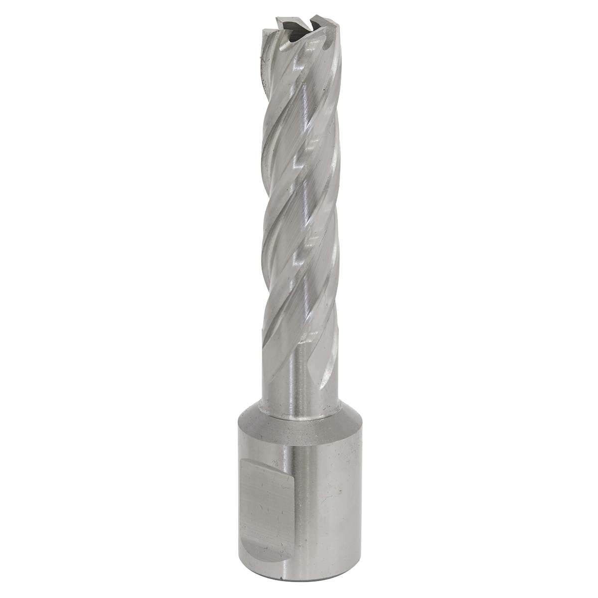 Worksafe® HSS Mag Drill Bit