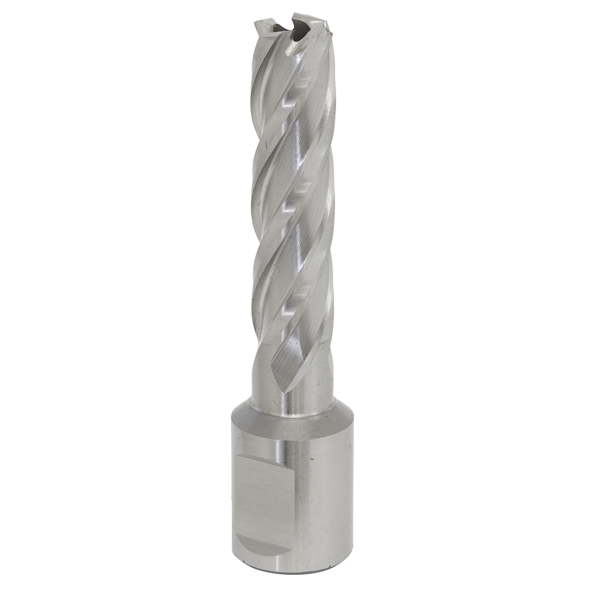 Worksafe® HSS Mag Drill Bit
