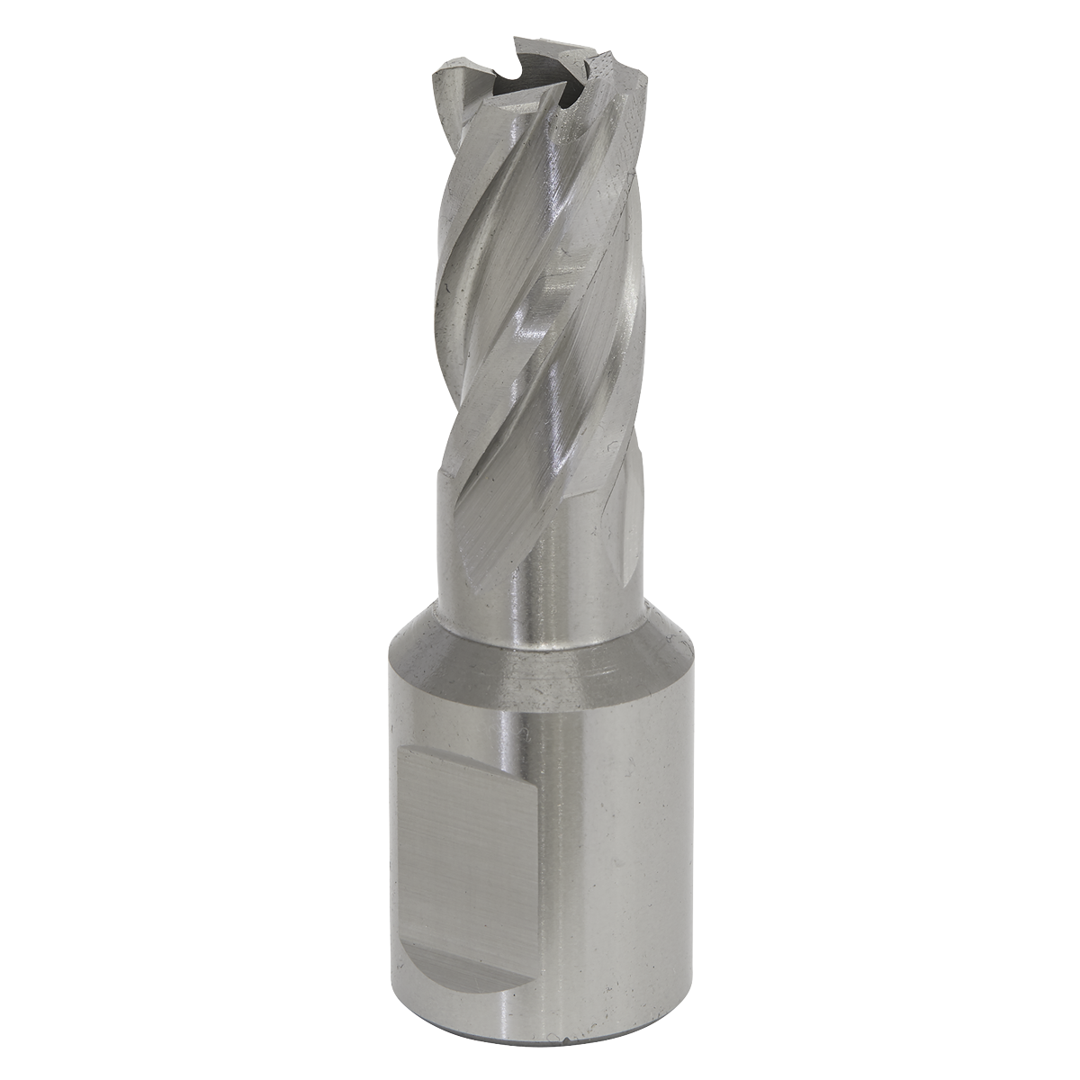 Worksafe® HSS Mag Drill Bit