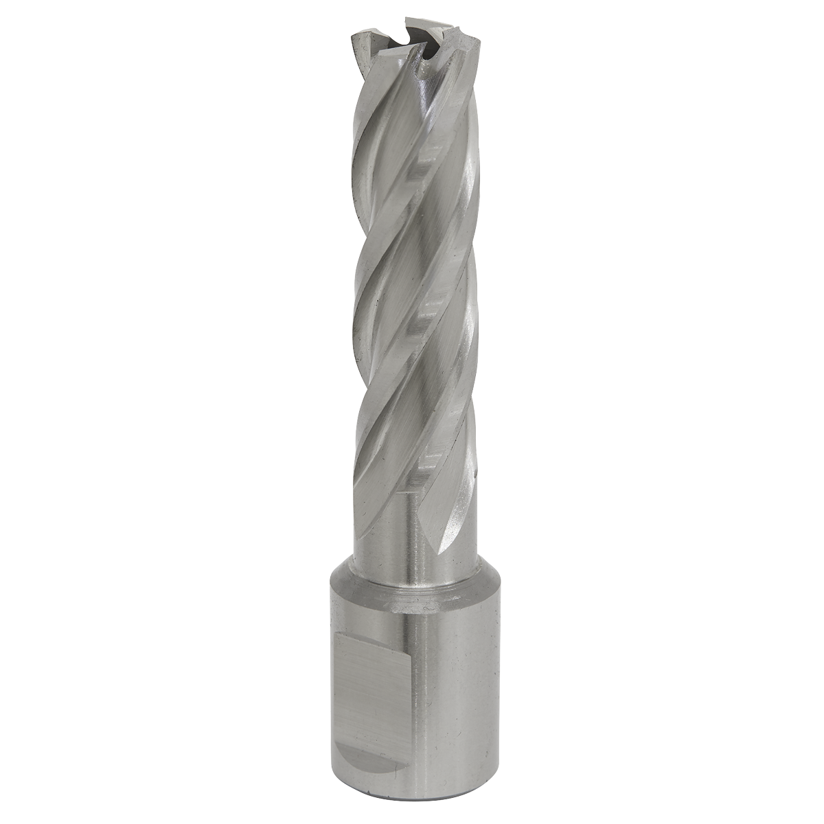 Worksafe® HSS Mag Drill Bit
