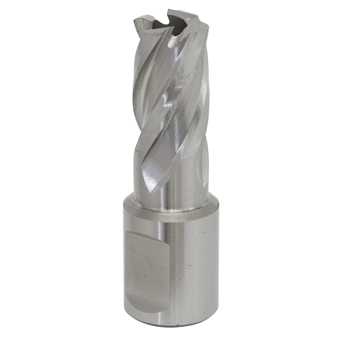 Worksafe® HSS Mag Drill Bit
