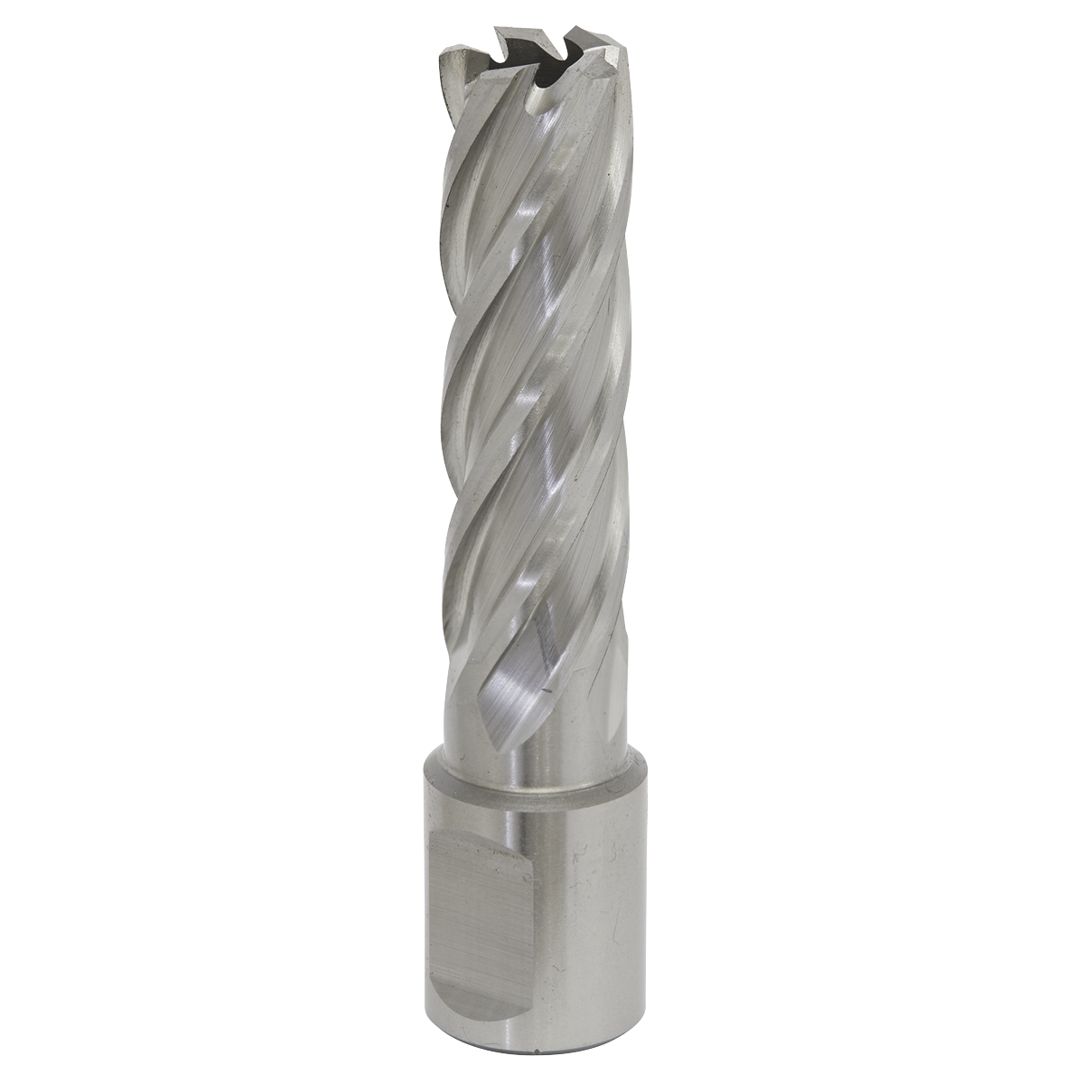 Worksafe® HSS Mag Drill Bit