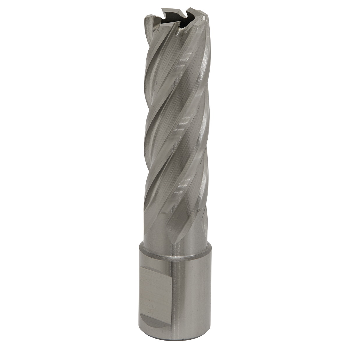 Worksafe® HSS Mag Drill Bit