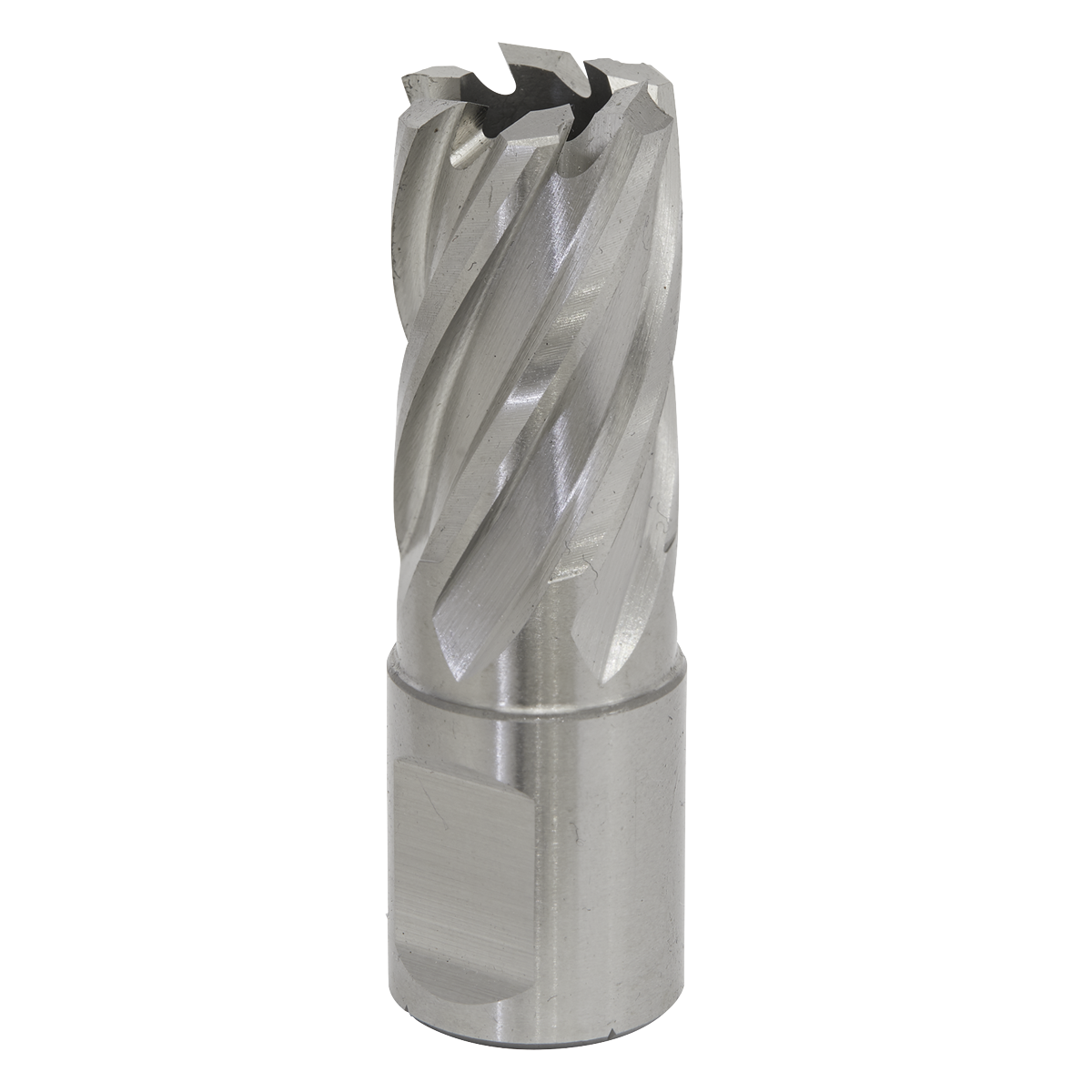 Worksafe® HSS Mag Drill Bit