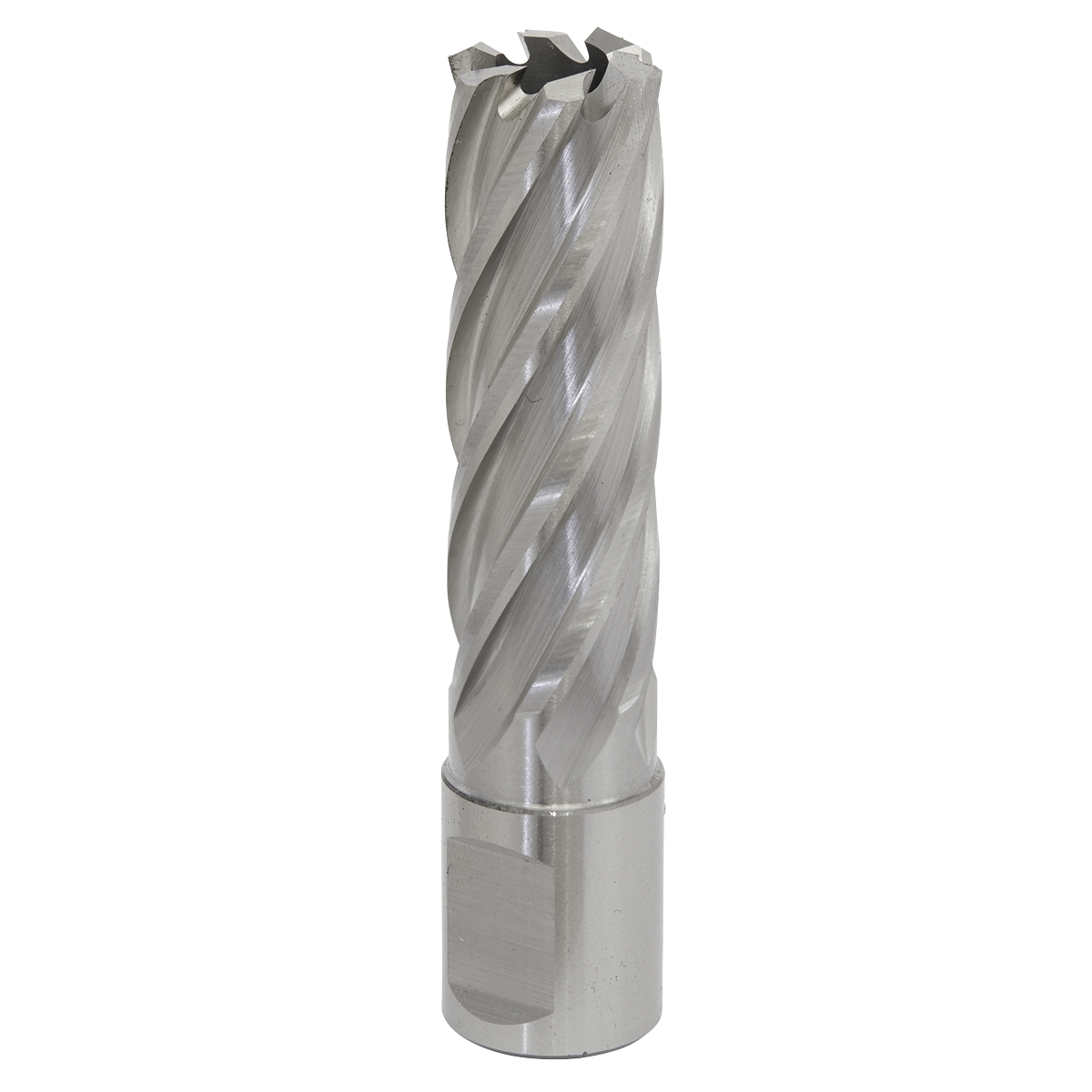 Worksafe® HSS Mag Drill Bit