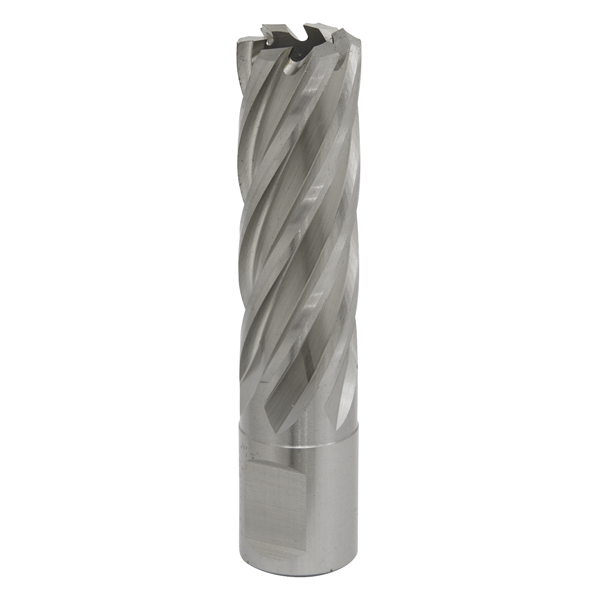 Worksafe® HSS Mag Drill Bit