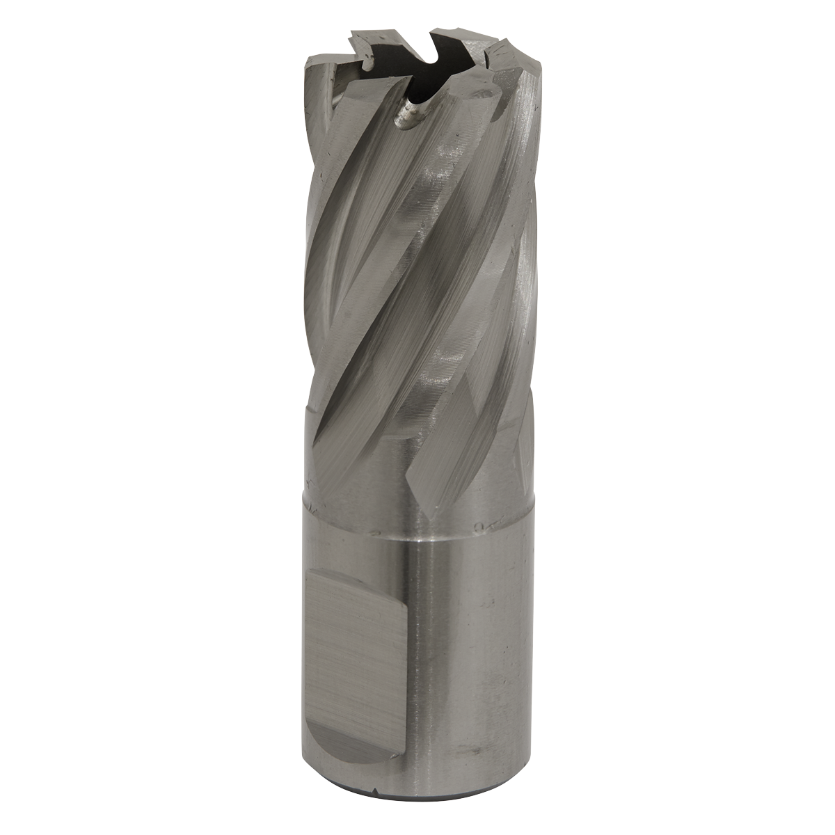 Worksafe® HSS Mag Drill Bit